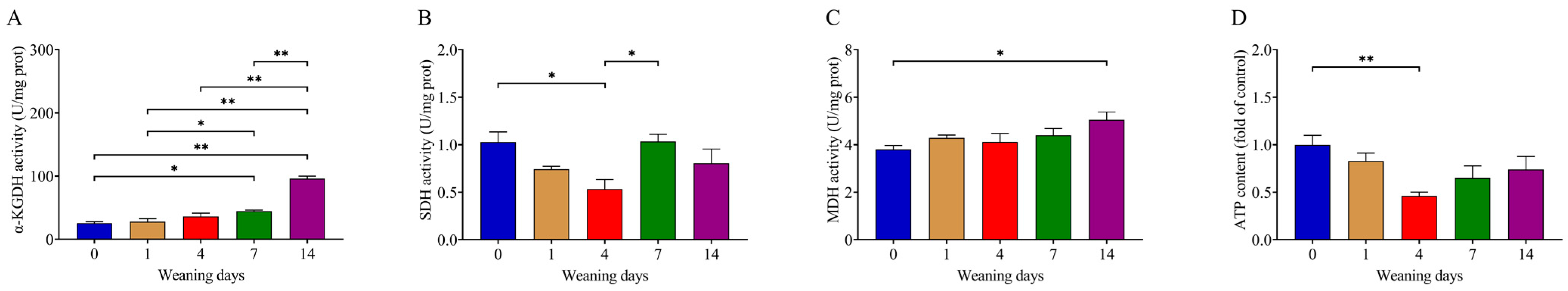 Animals 14 00190 g004