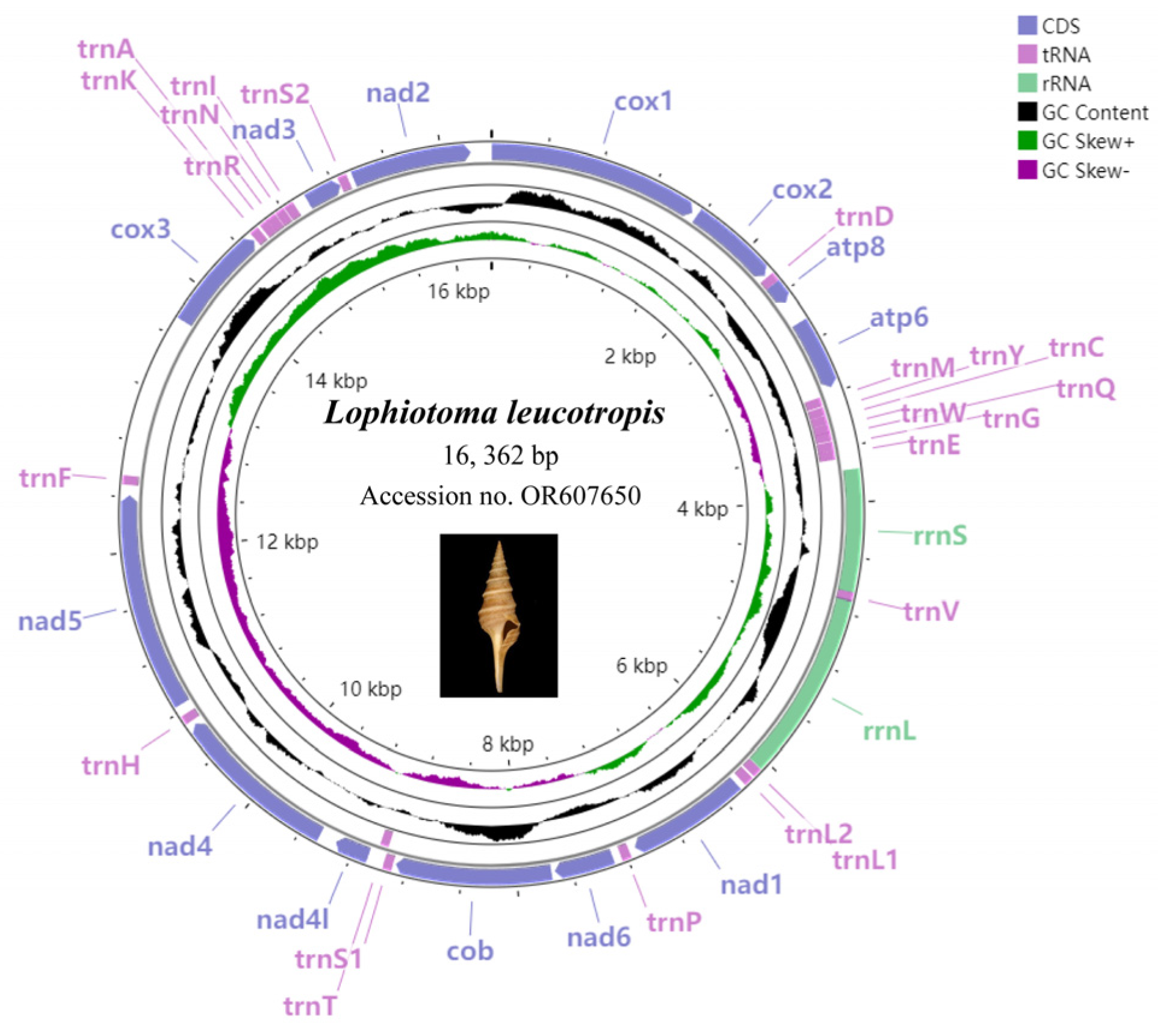 Animals 14 00192 g001
