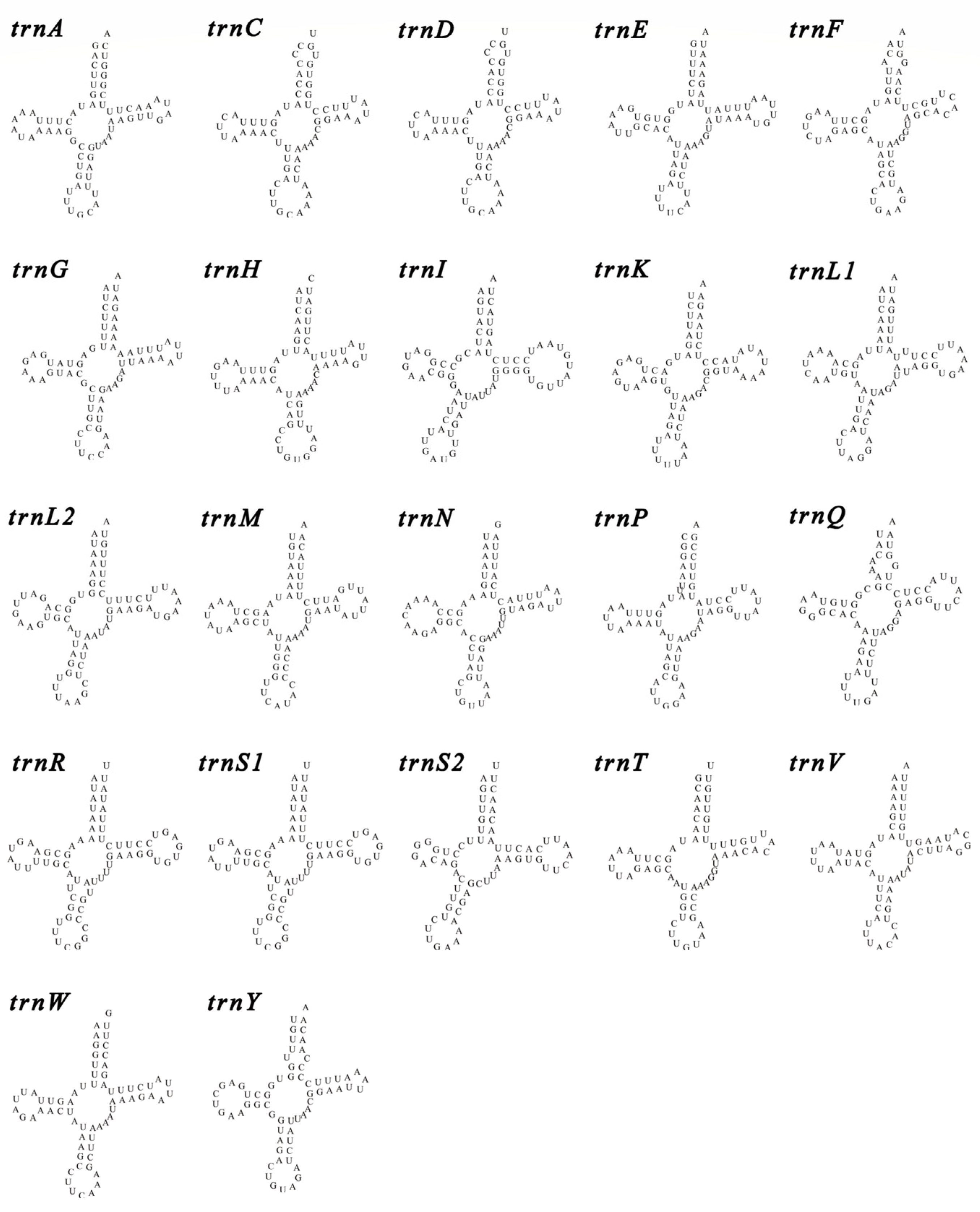 Animals 14 00192 g003