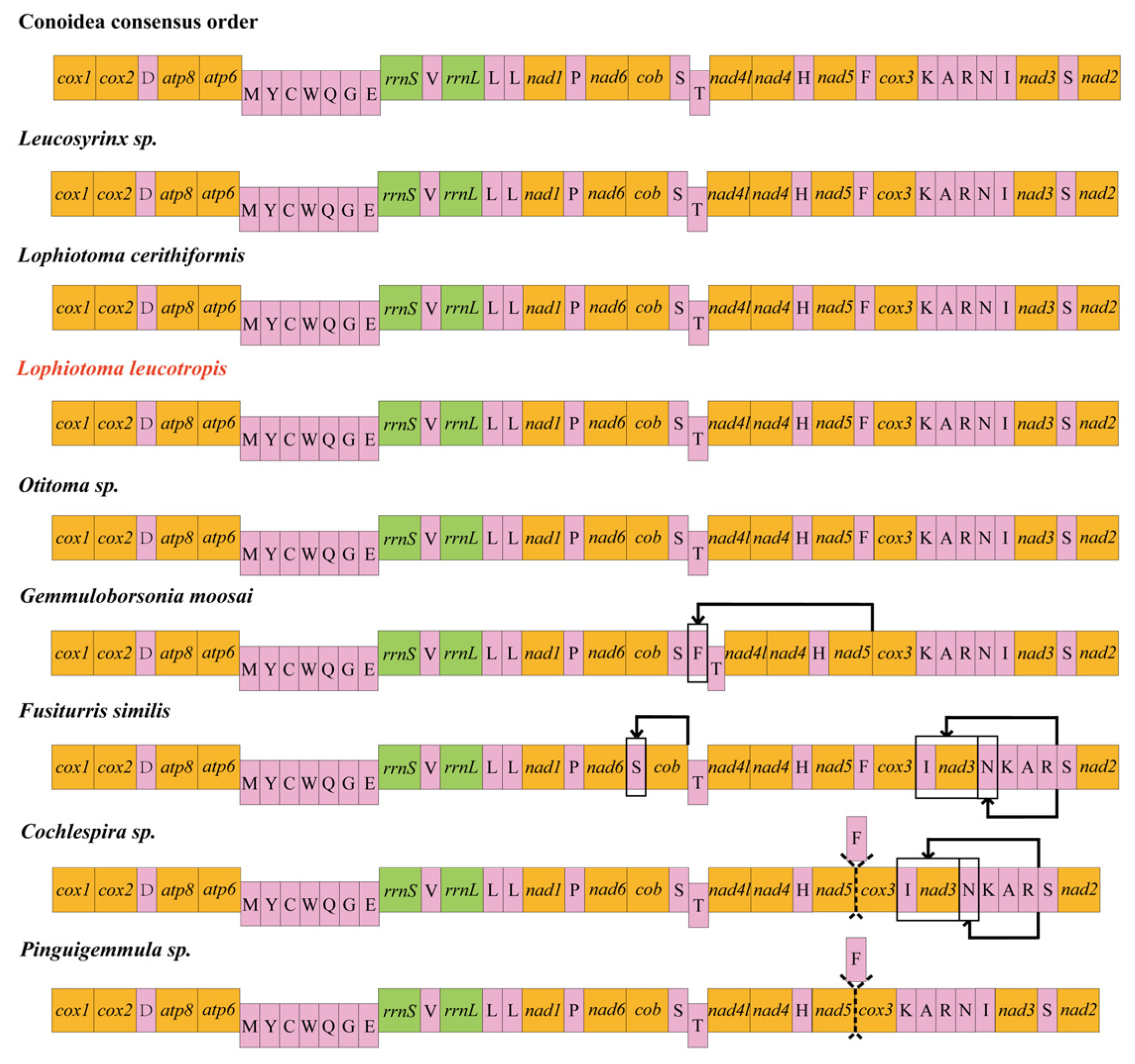 Animals 14 00192 g005