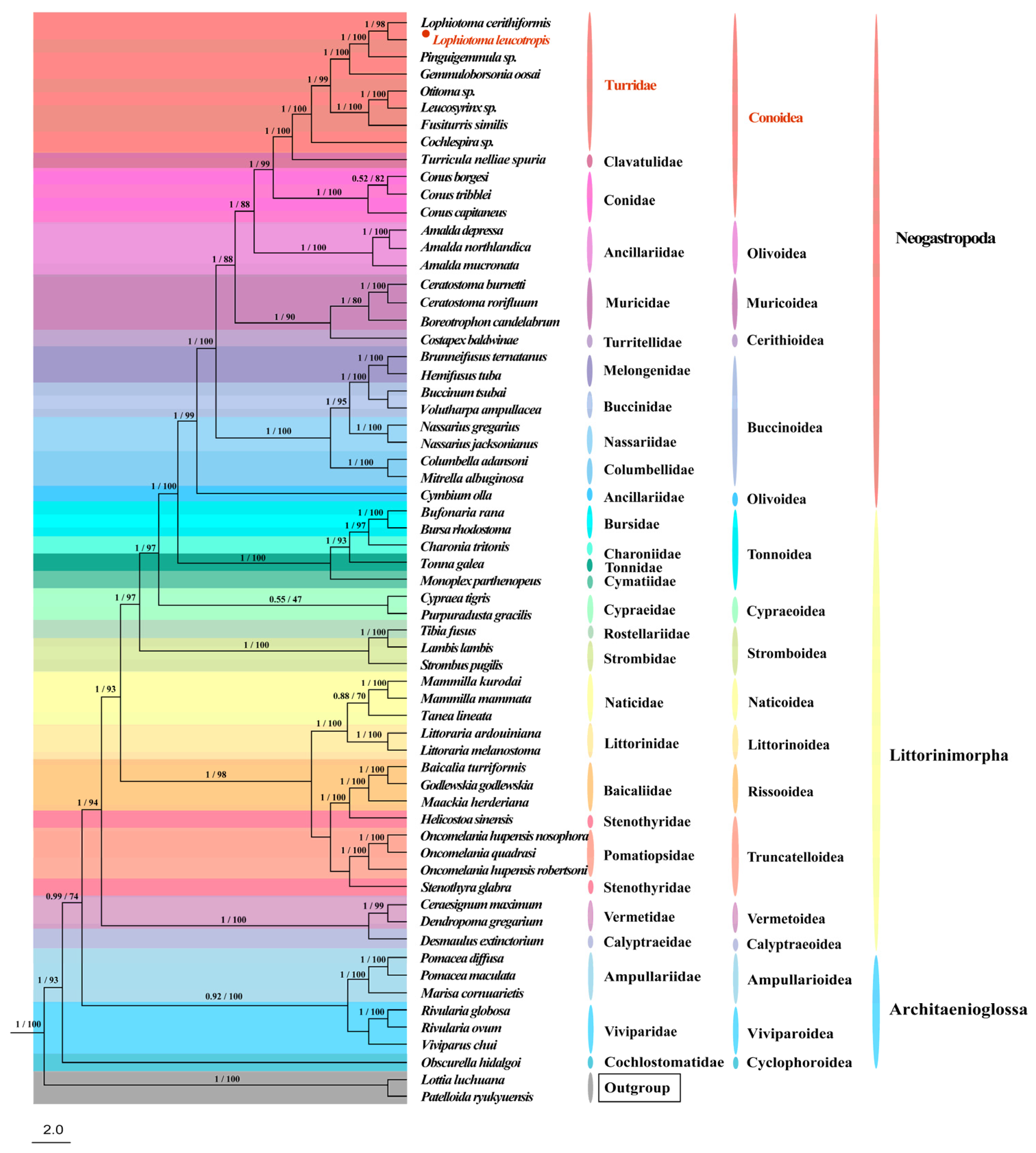 Animals 14 00192 g006
