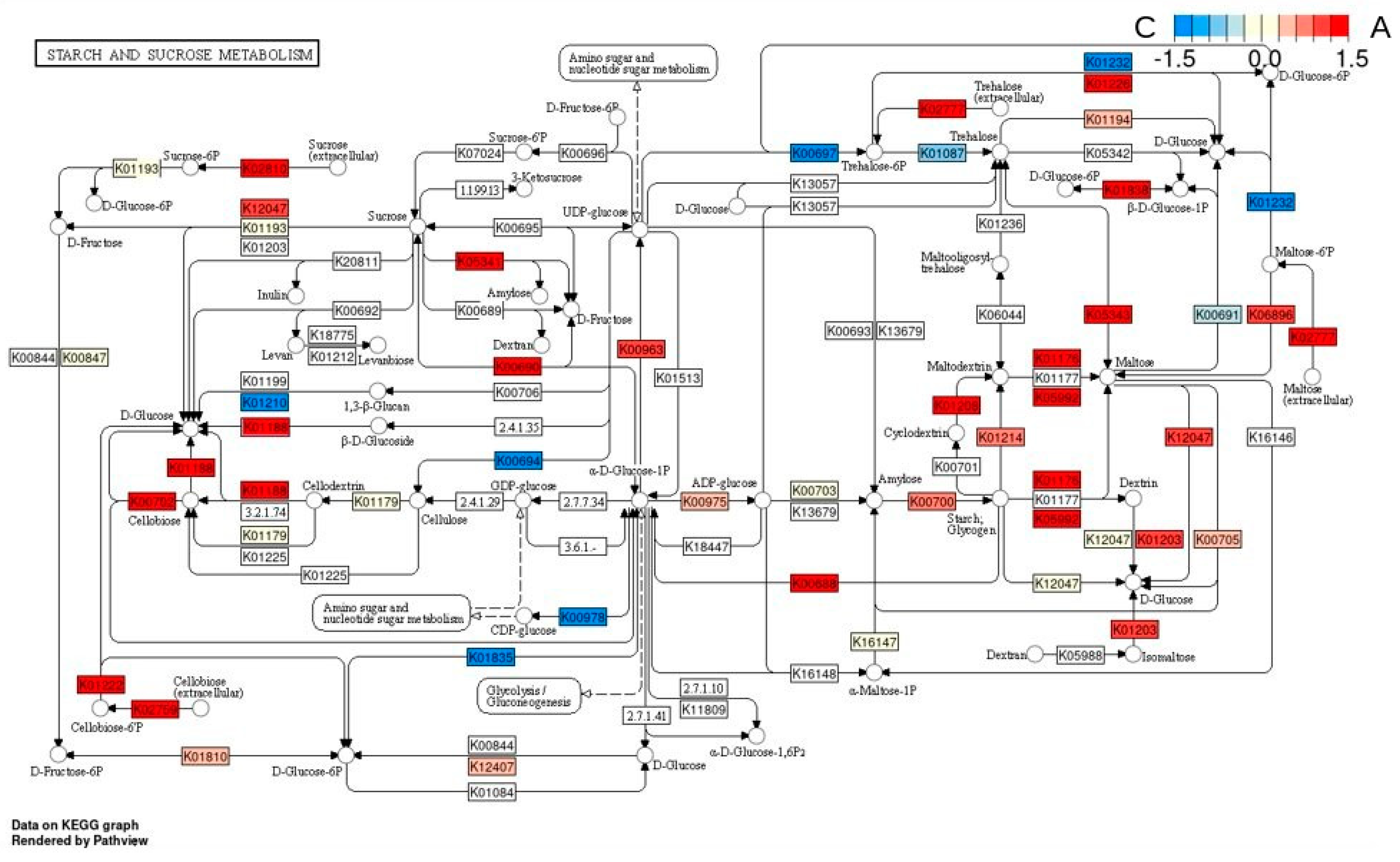 Animals 14 00196 g0a2