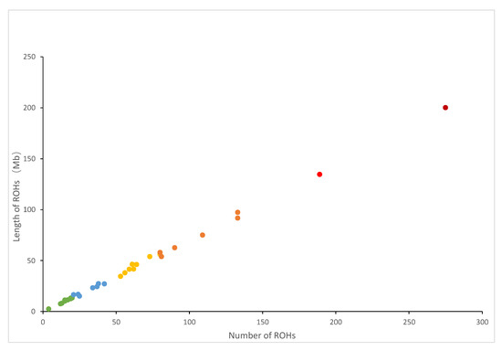 Detection of Runs of Homozygosity and Identification of