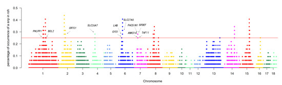 Detection of Runs of Homozygosity and Identification of