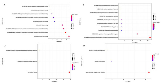 Detection of Runs of Homozygosity and Identification of