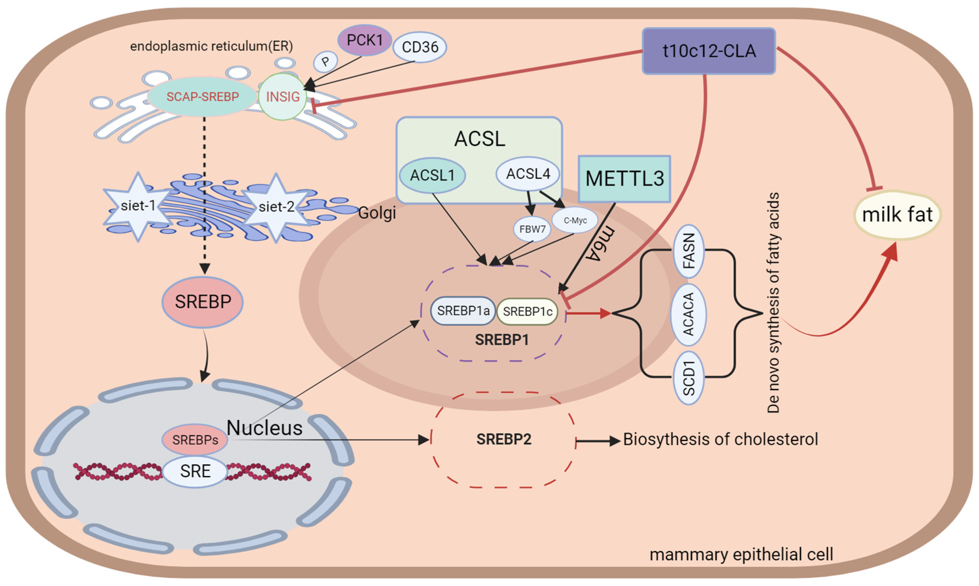Animals 14 00204 g002