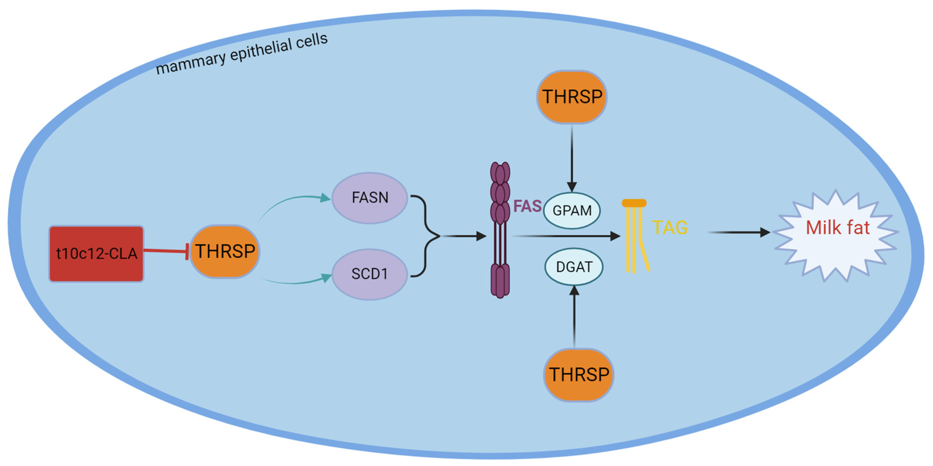 Animals 14 00204 g006