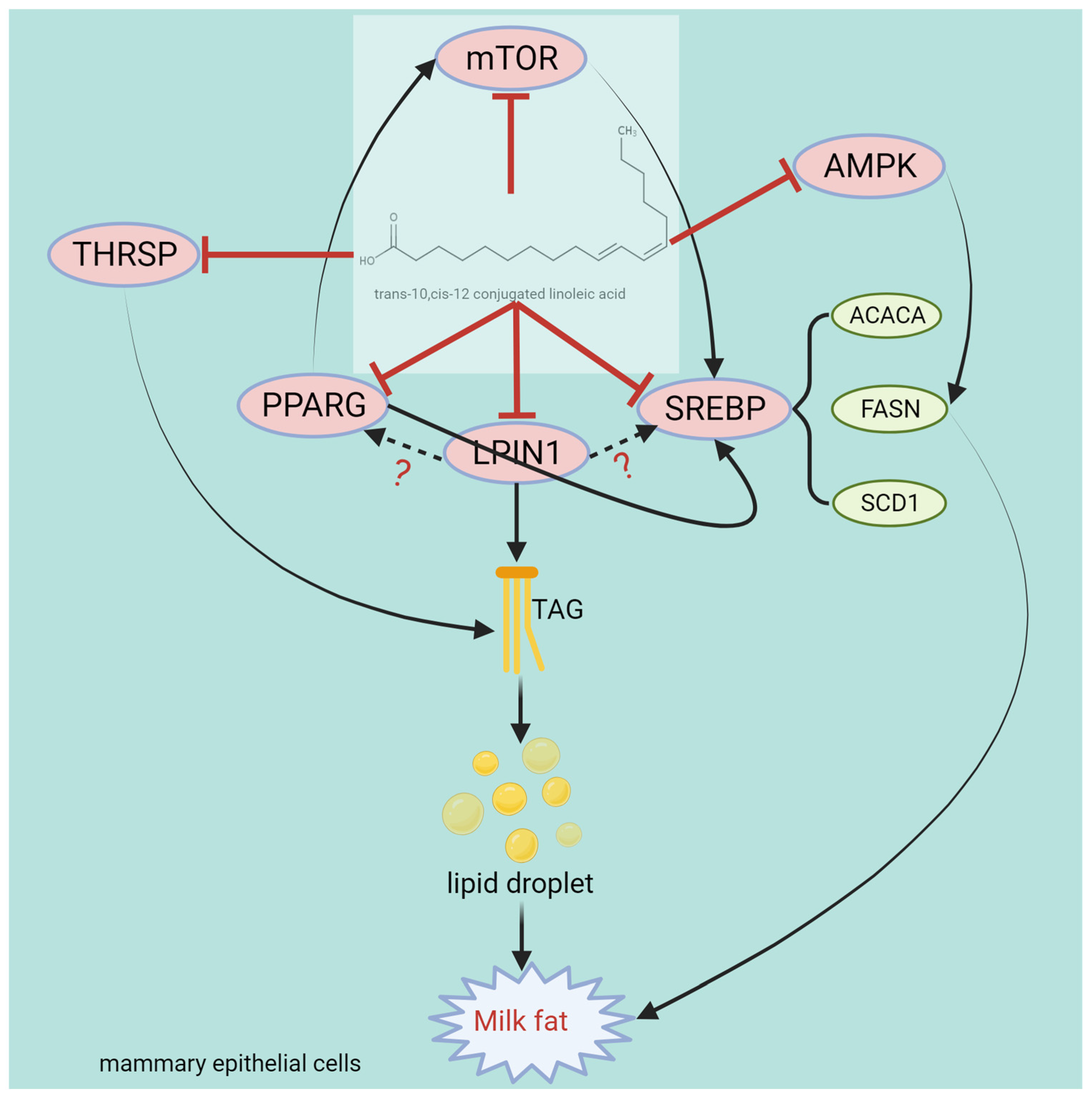 Animals 14 00204 g007