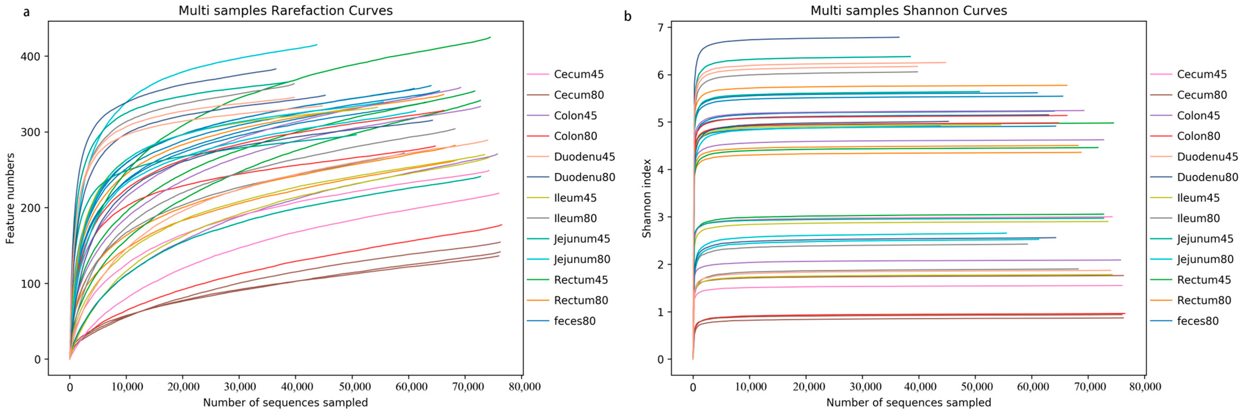 Animals 14 00210 g001