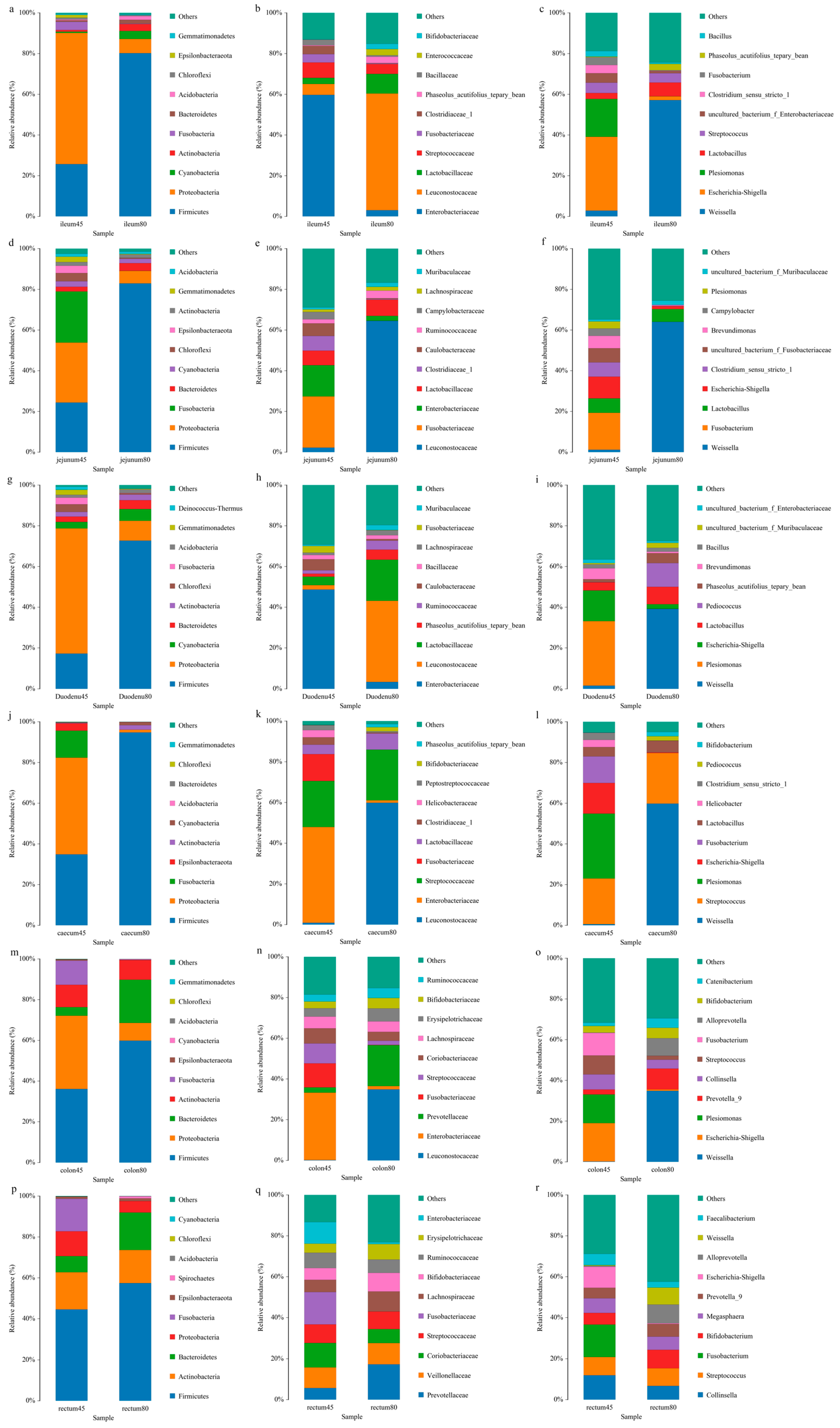 Animals 14 00210 g004