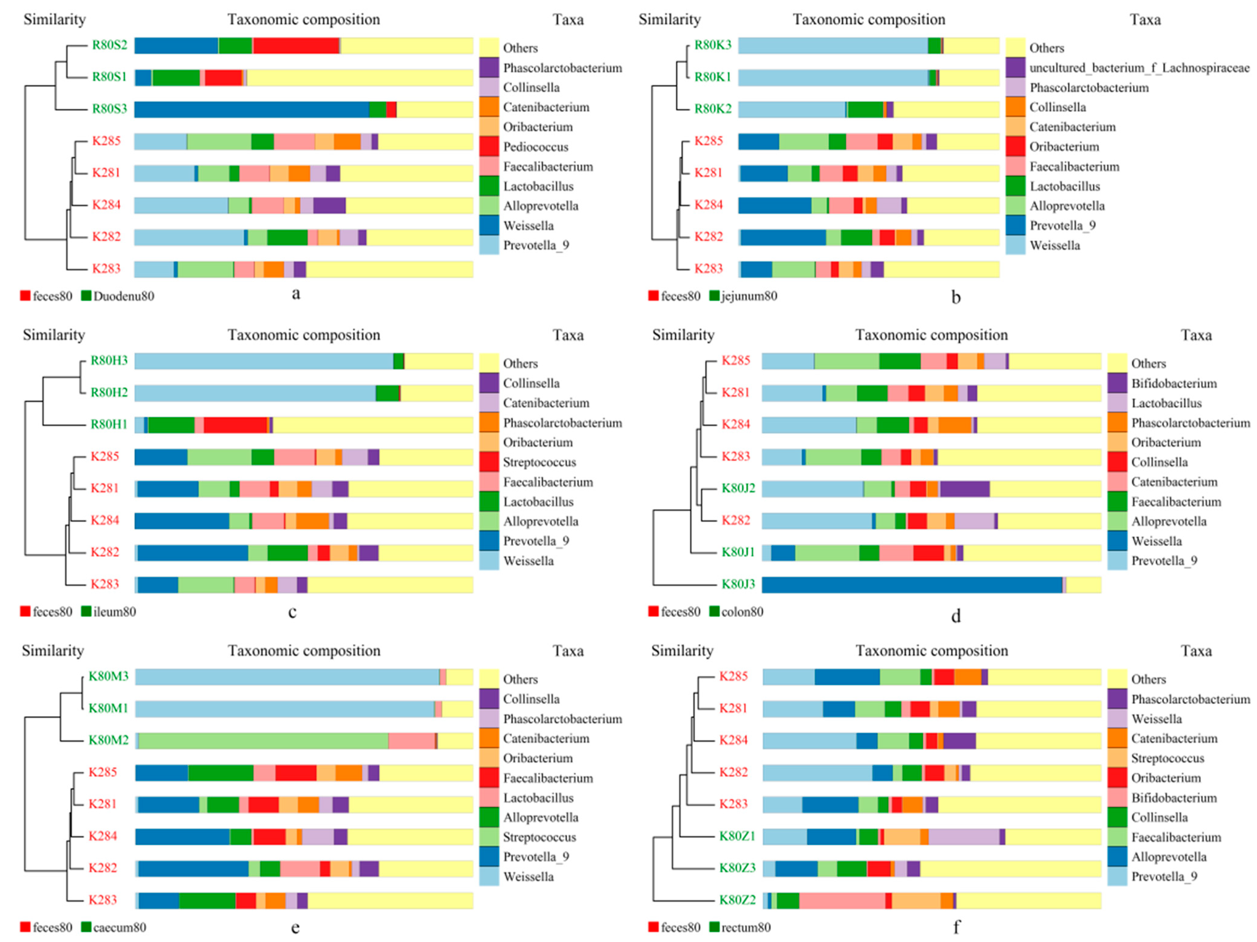 Animals 14 00210 g012