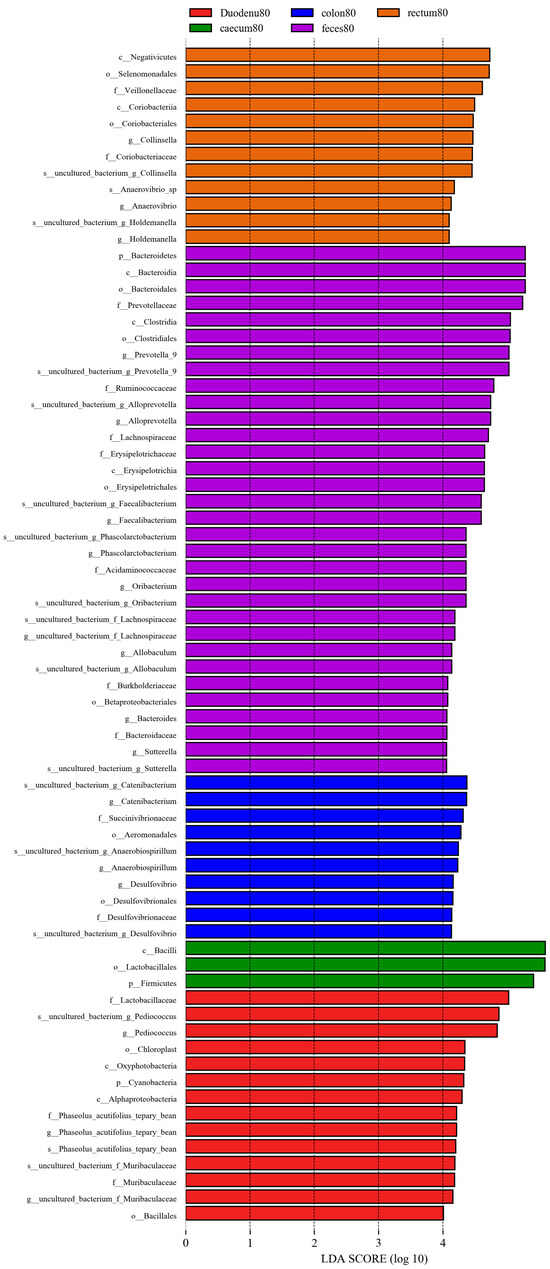 Colorful Frontiers | Flower Color Evolution and the Evidence of