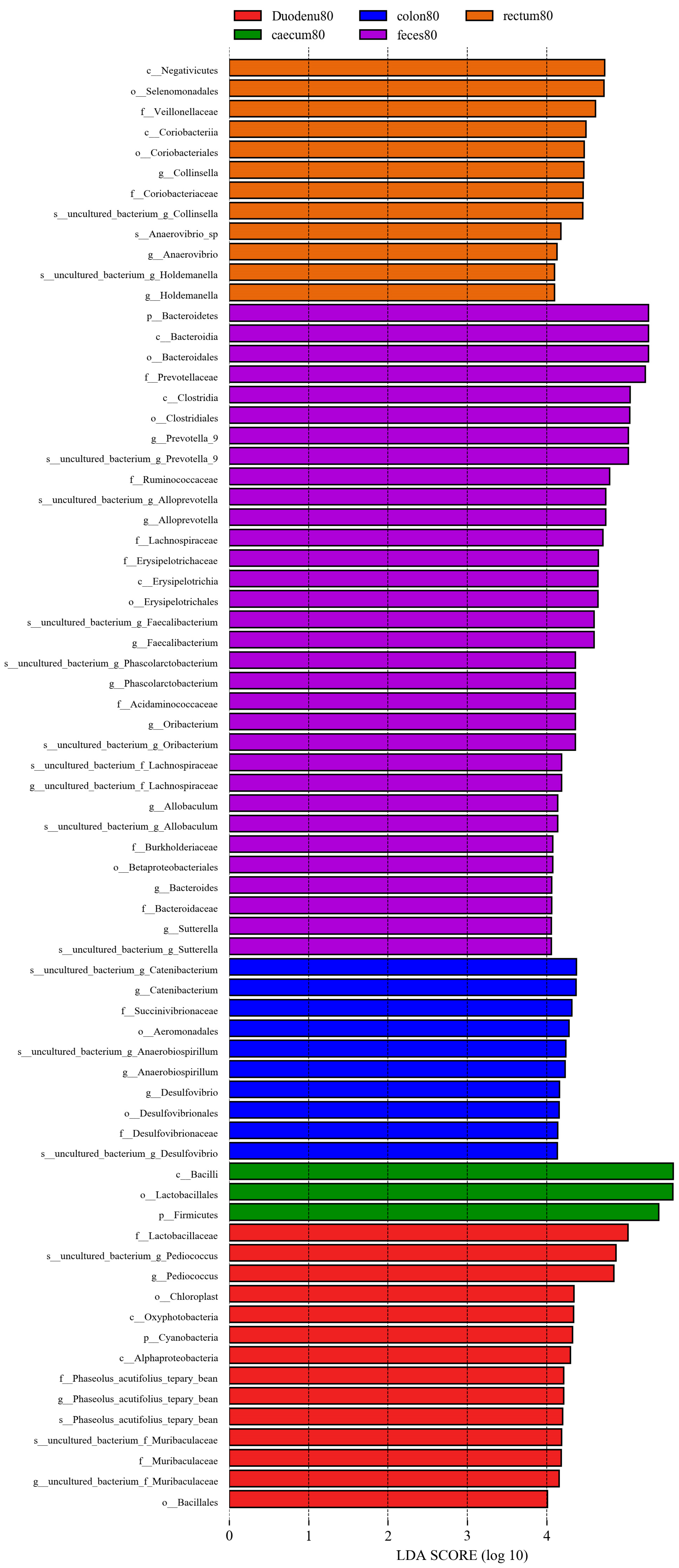 Animals 14 00210 g013a