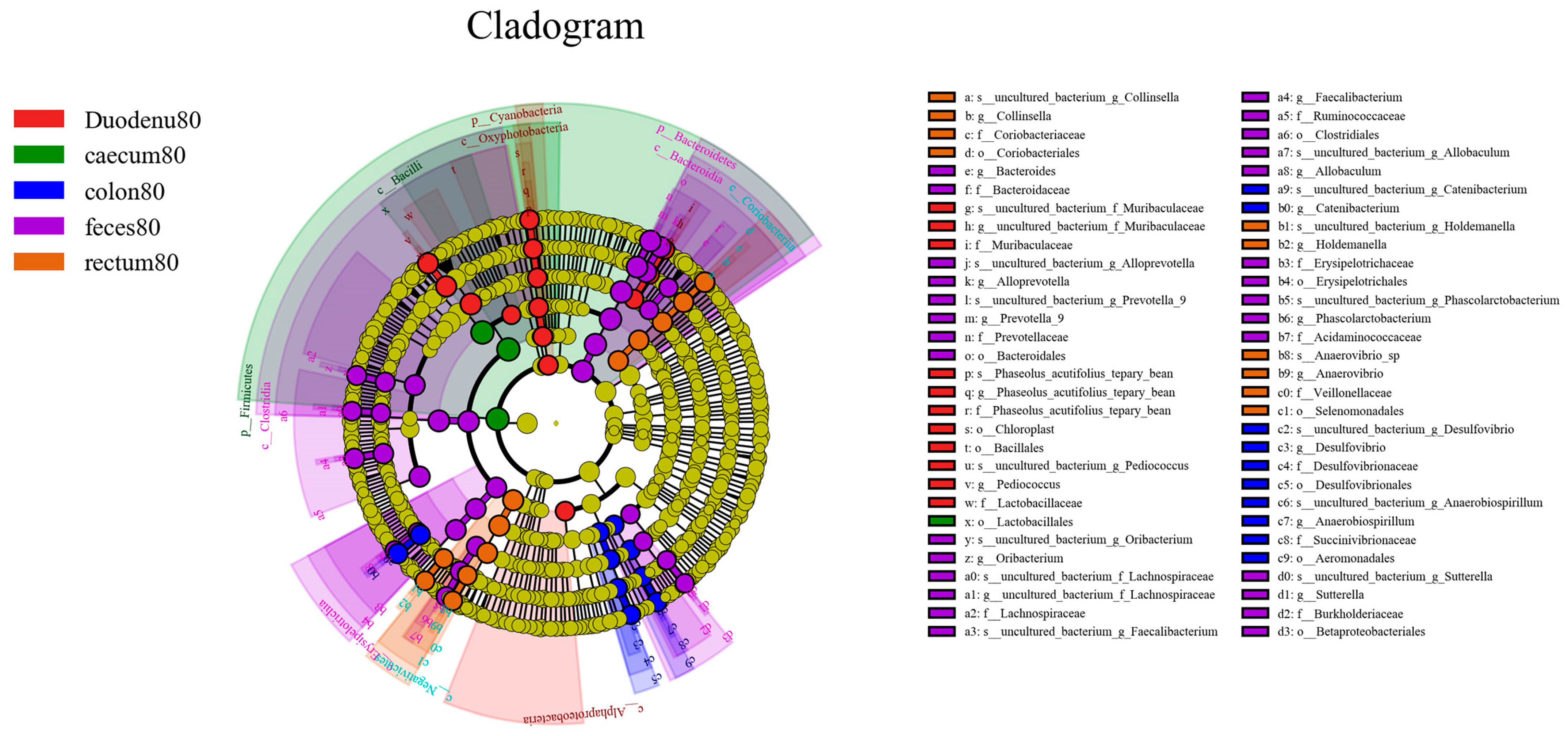 Animals 14 00210 g013b