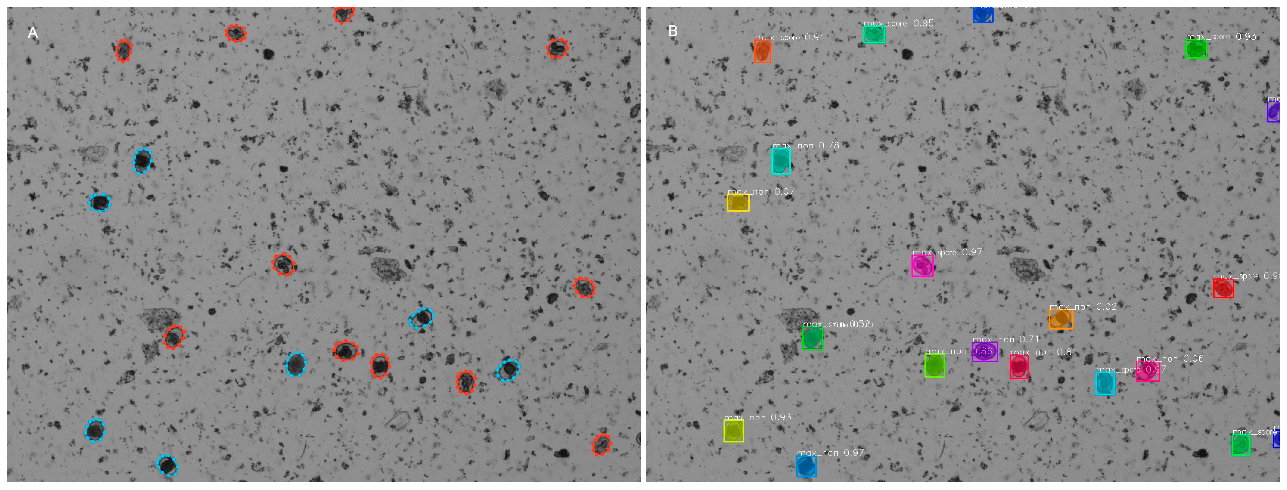 Animals 14 00212 g003