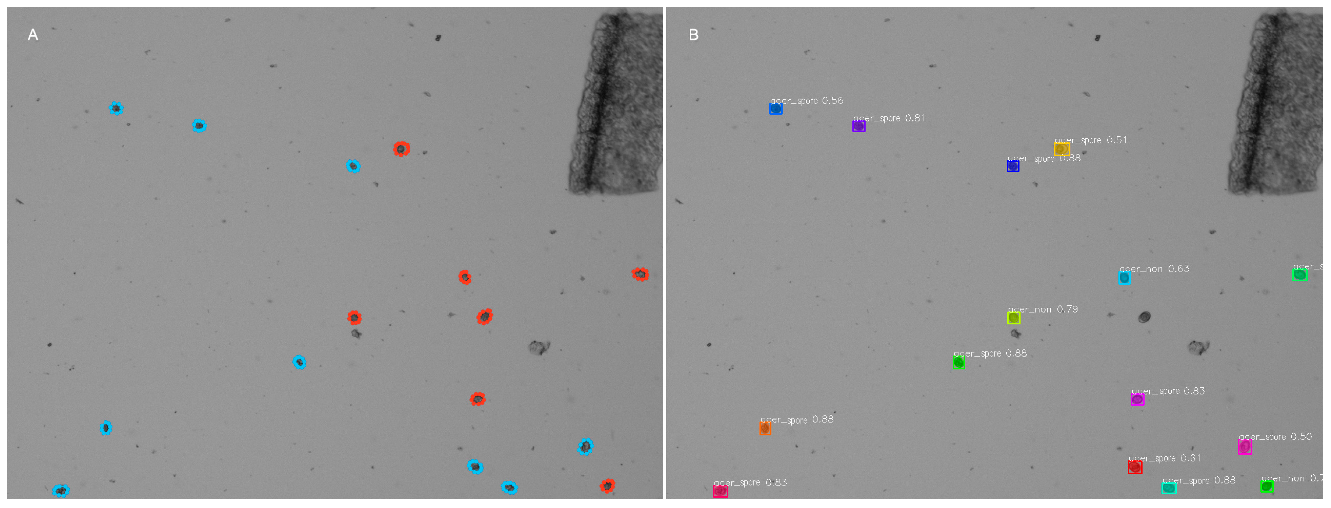 Animals 14 00212 g004