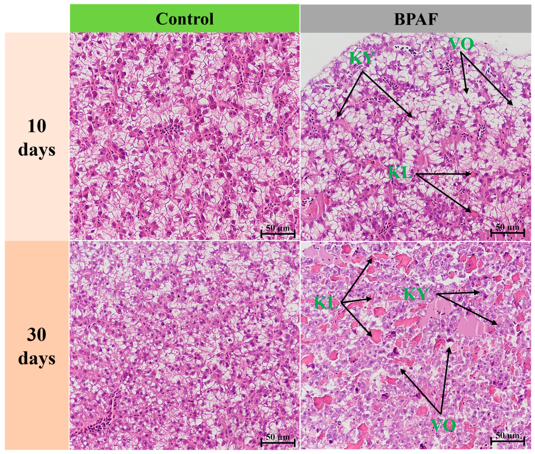 Animals 14 00222 g002