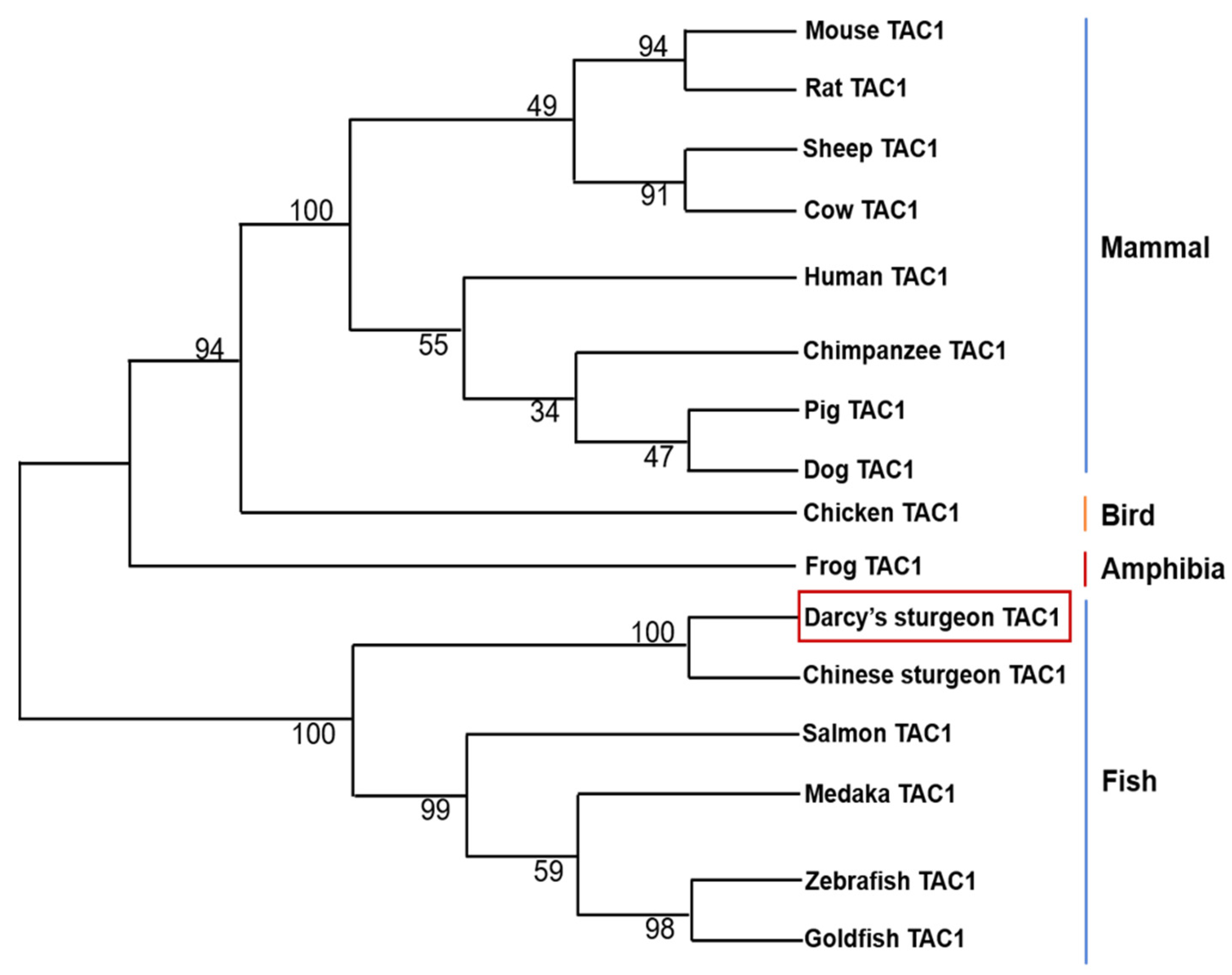 Animals 14 00227 g003 Animals 14 00227 g003