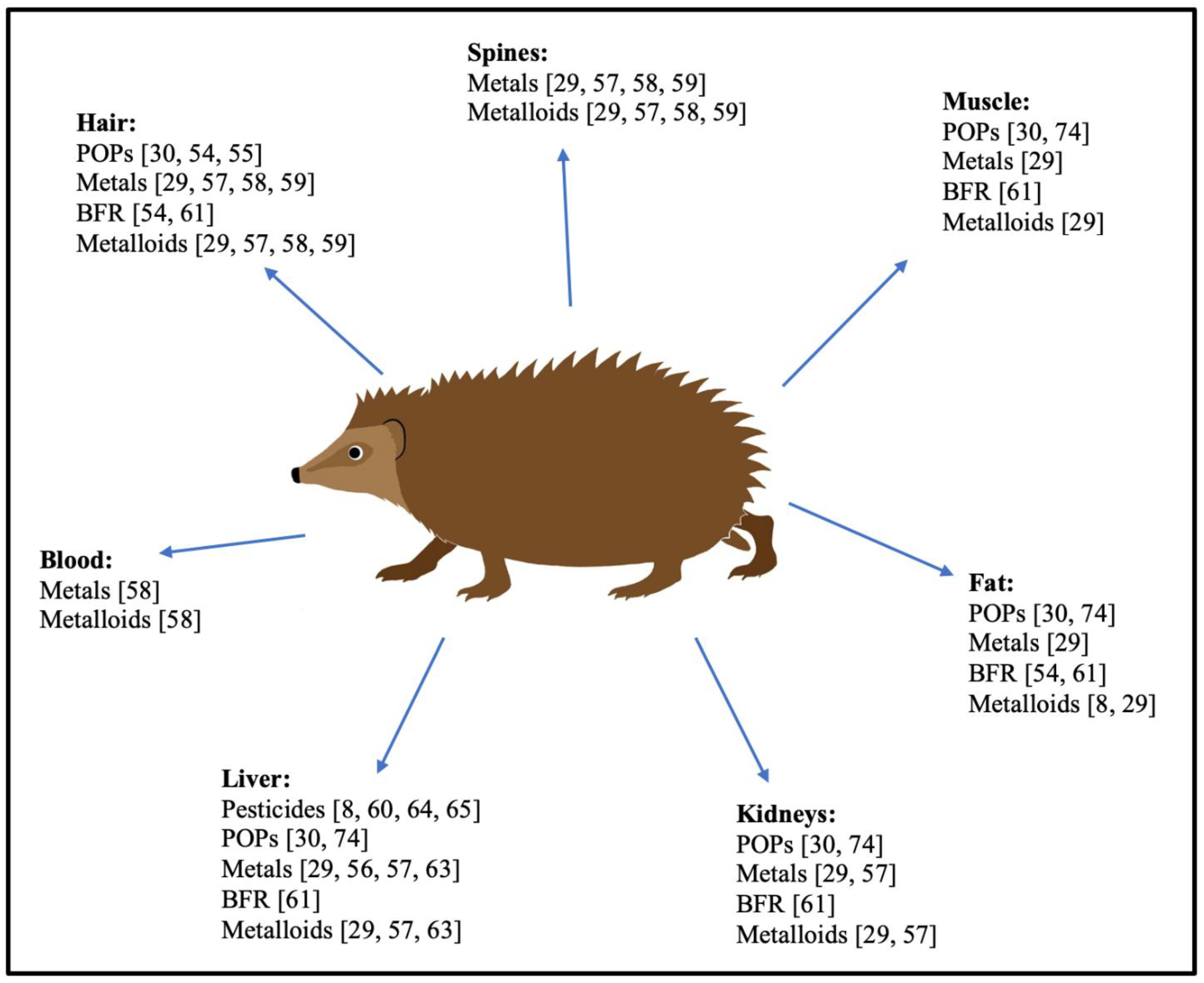 Animals 14 00232 g001