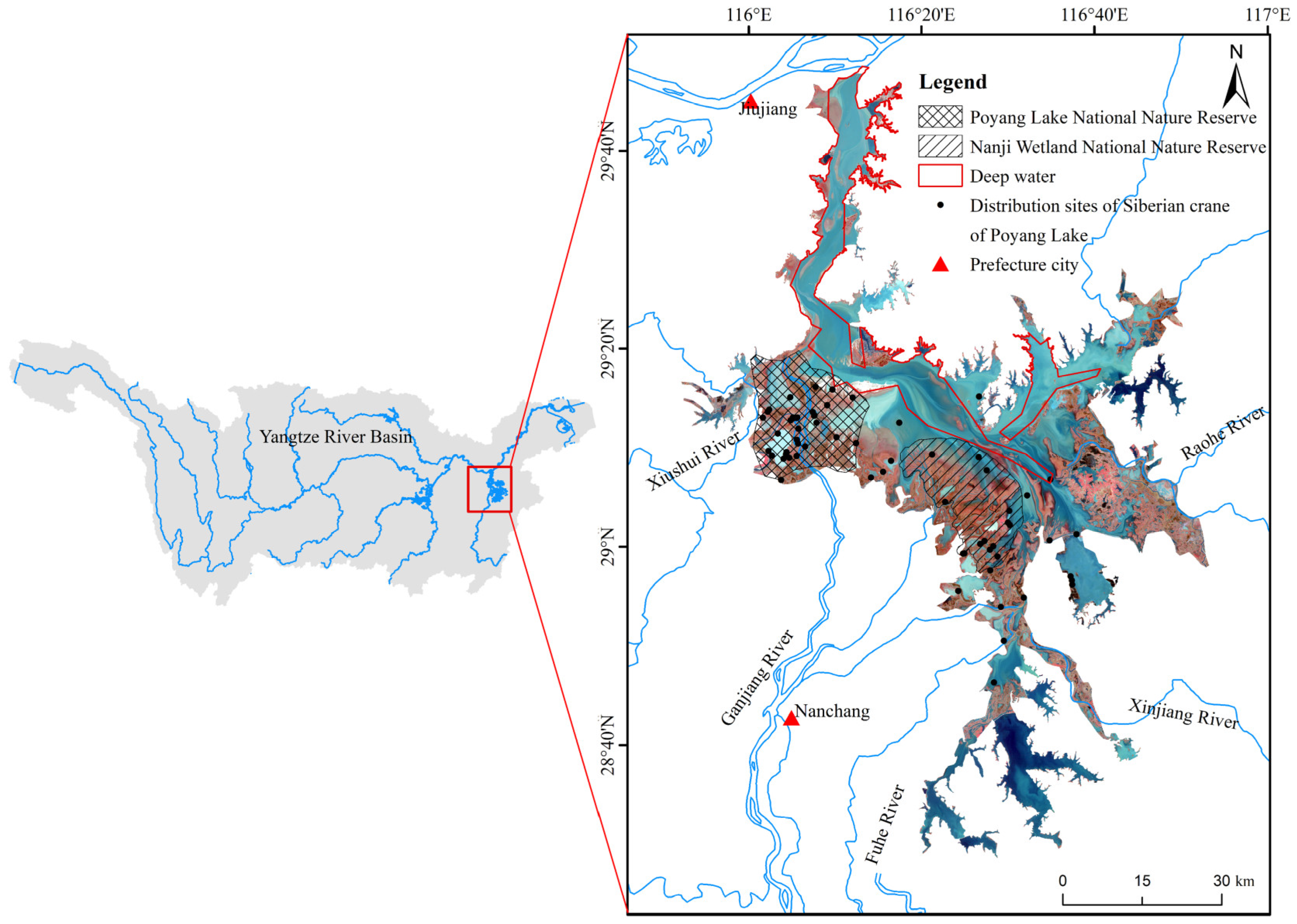 Animals 14 00234 g001