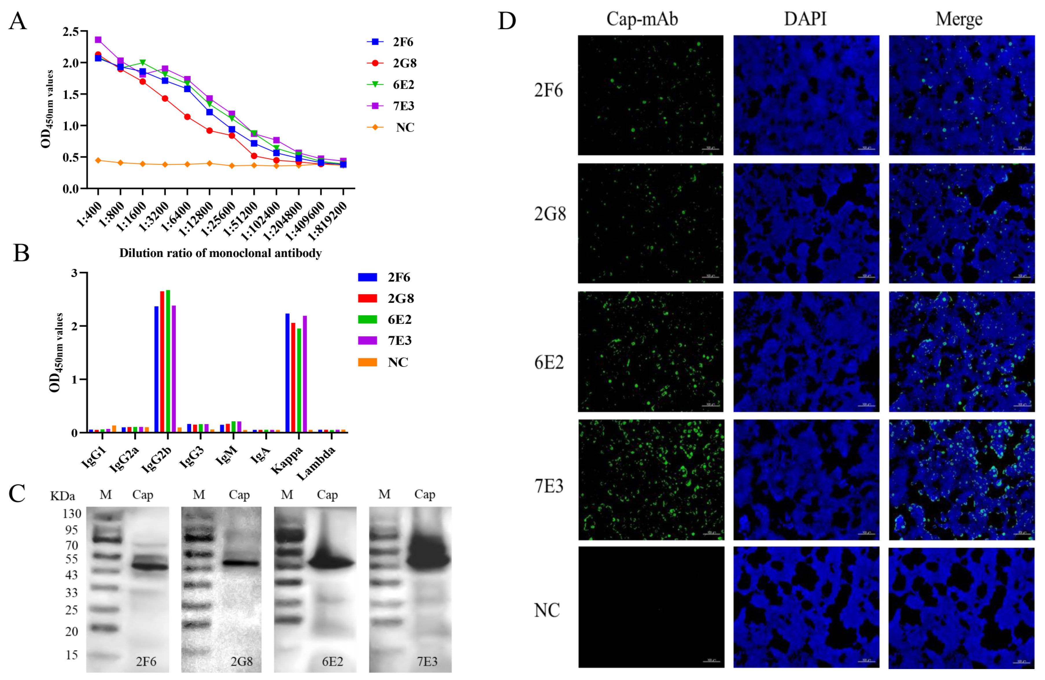 Animals 14 00235 g002