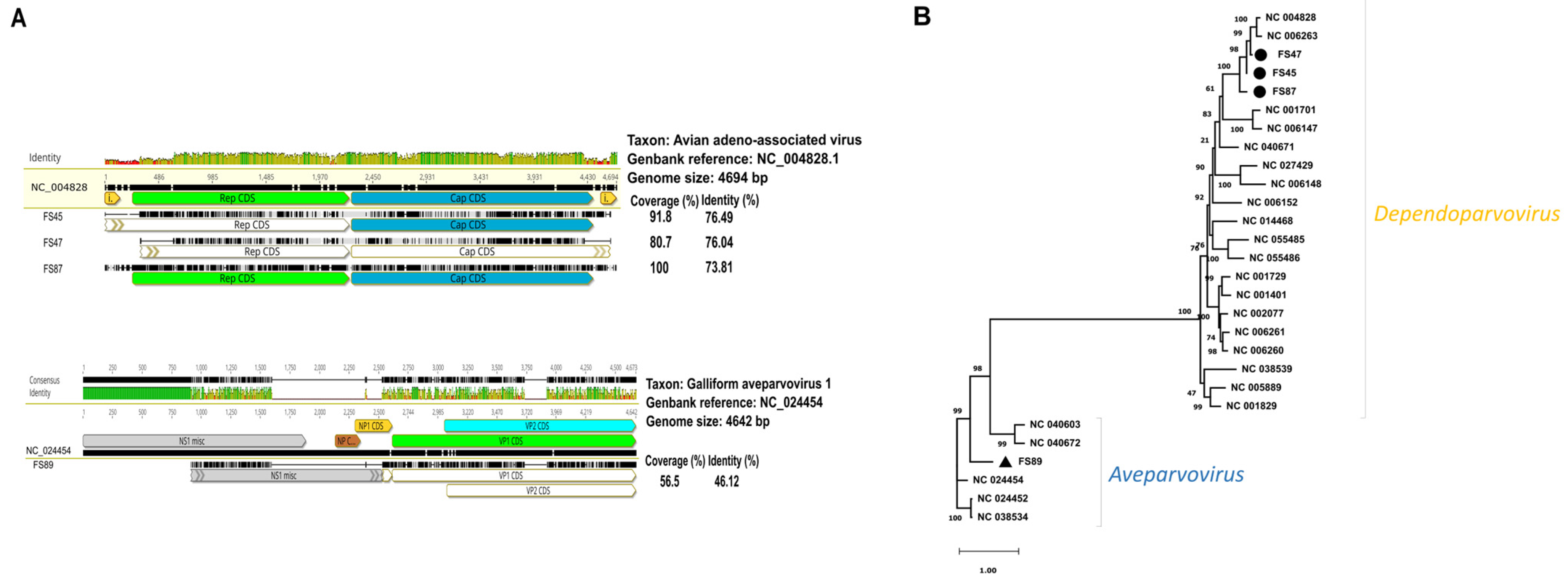 Animals 14 00237 g003 Animals 14 00237 g003