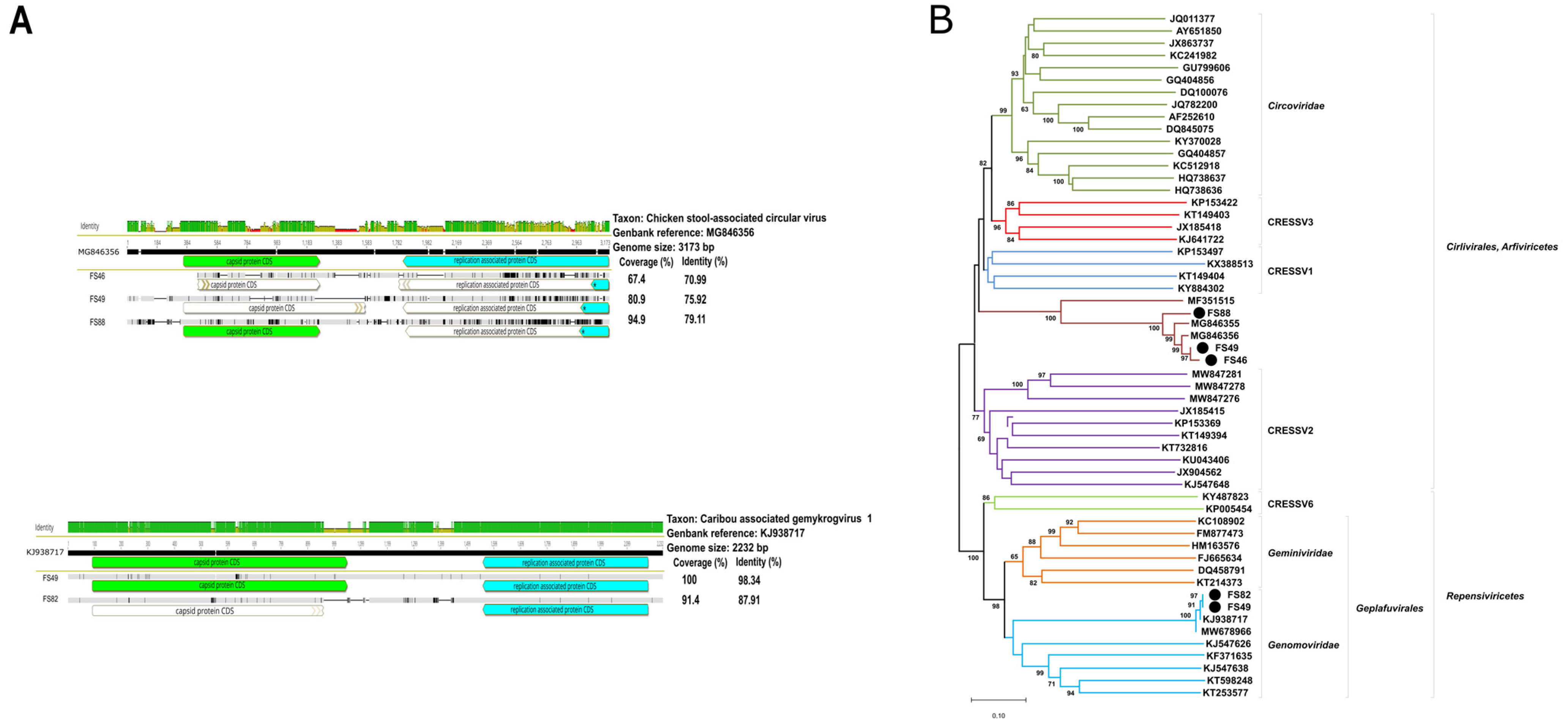 Animals 14 00237 g006 Animals 14 00237 g006