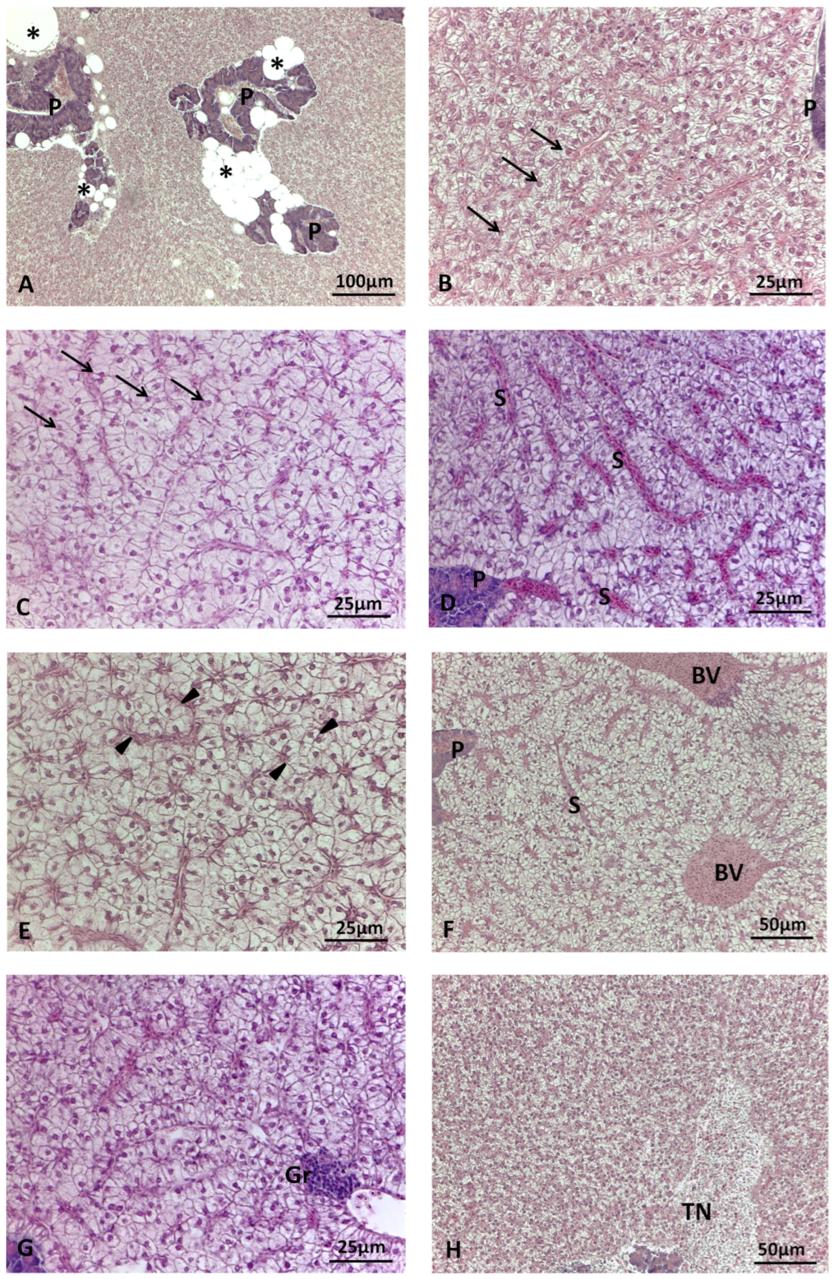 Animals 14 00241 g001 Animals 14 00241 g001