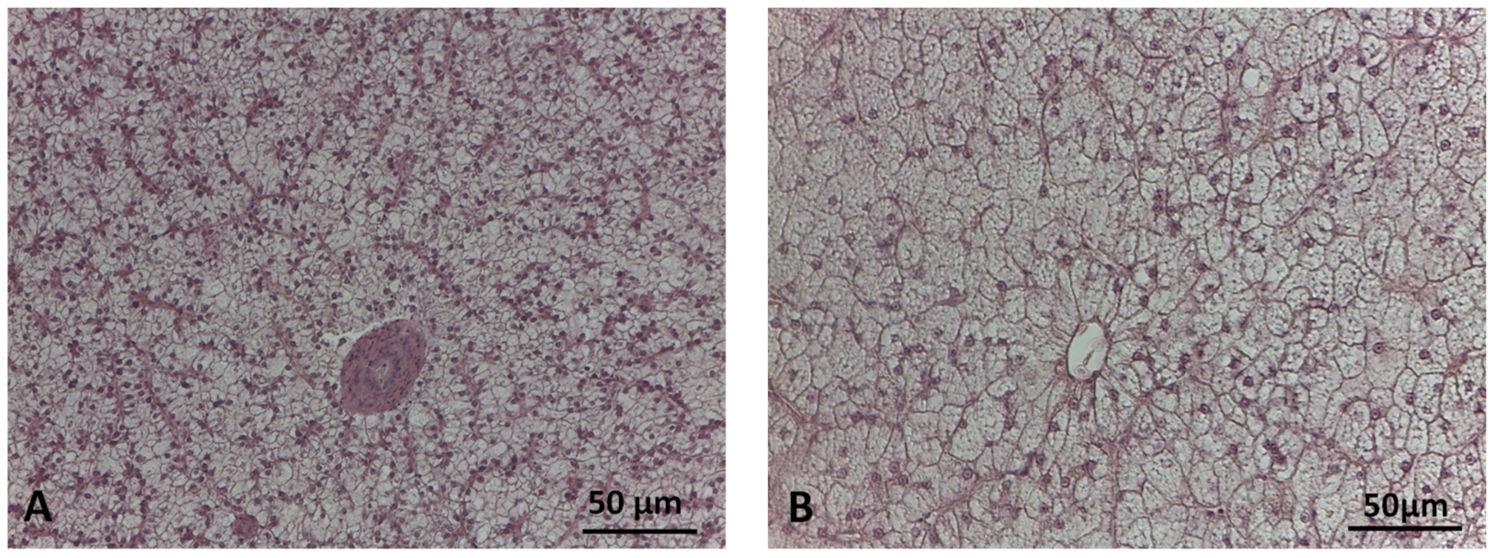 Animals 14 00241 g002a Animals 14 00241 g002a