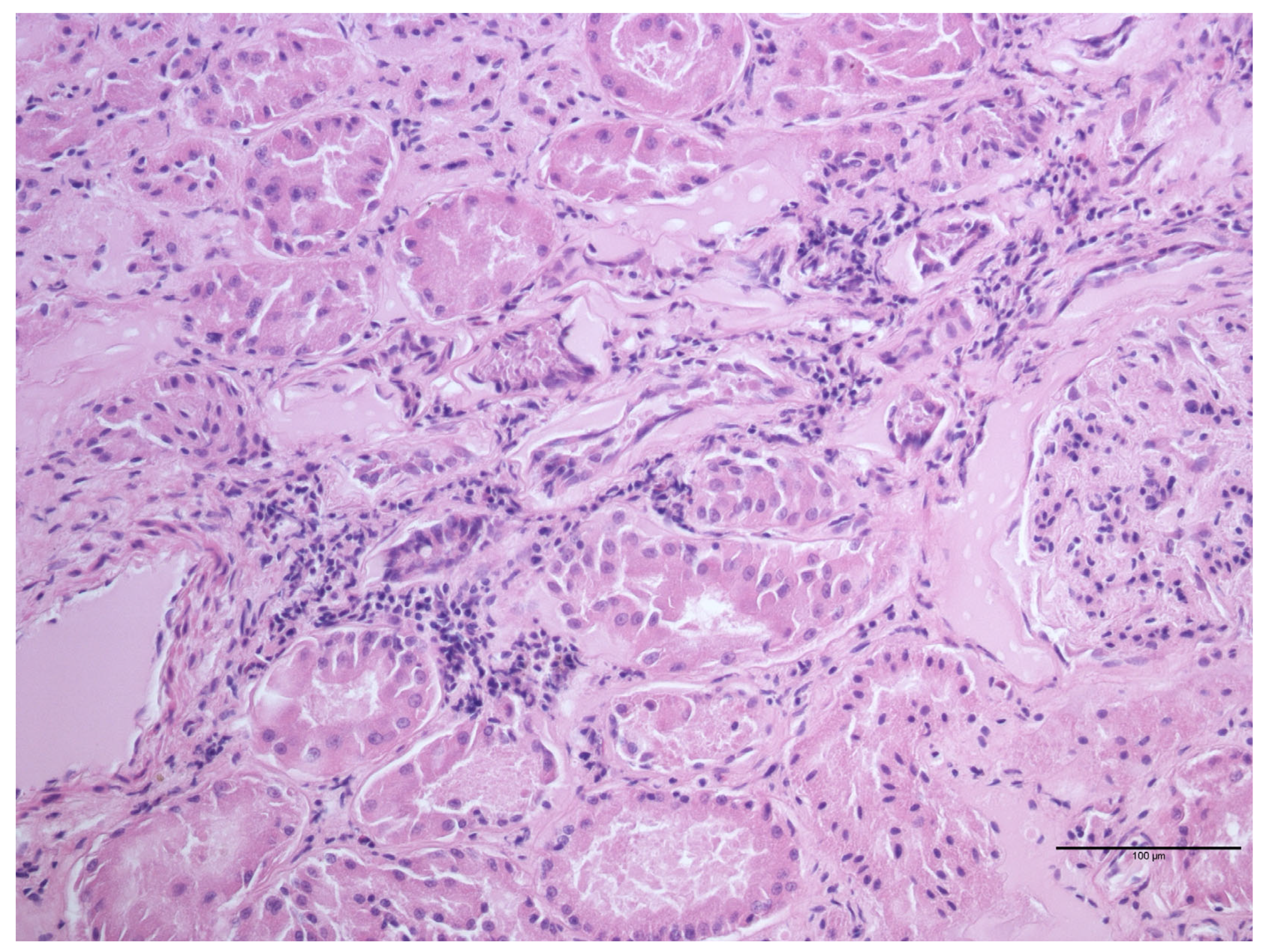 Animals 14 00245 g003