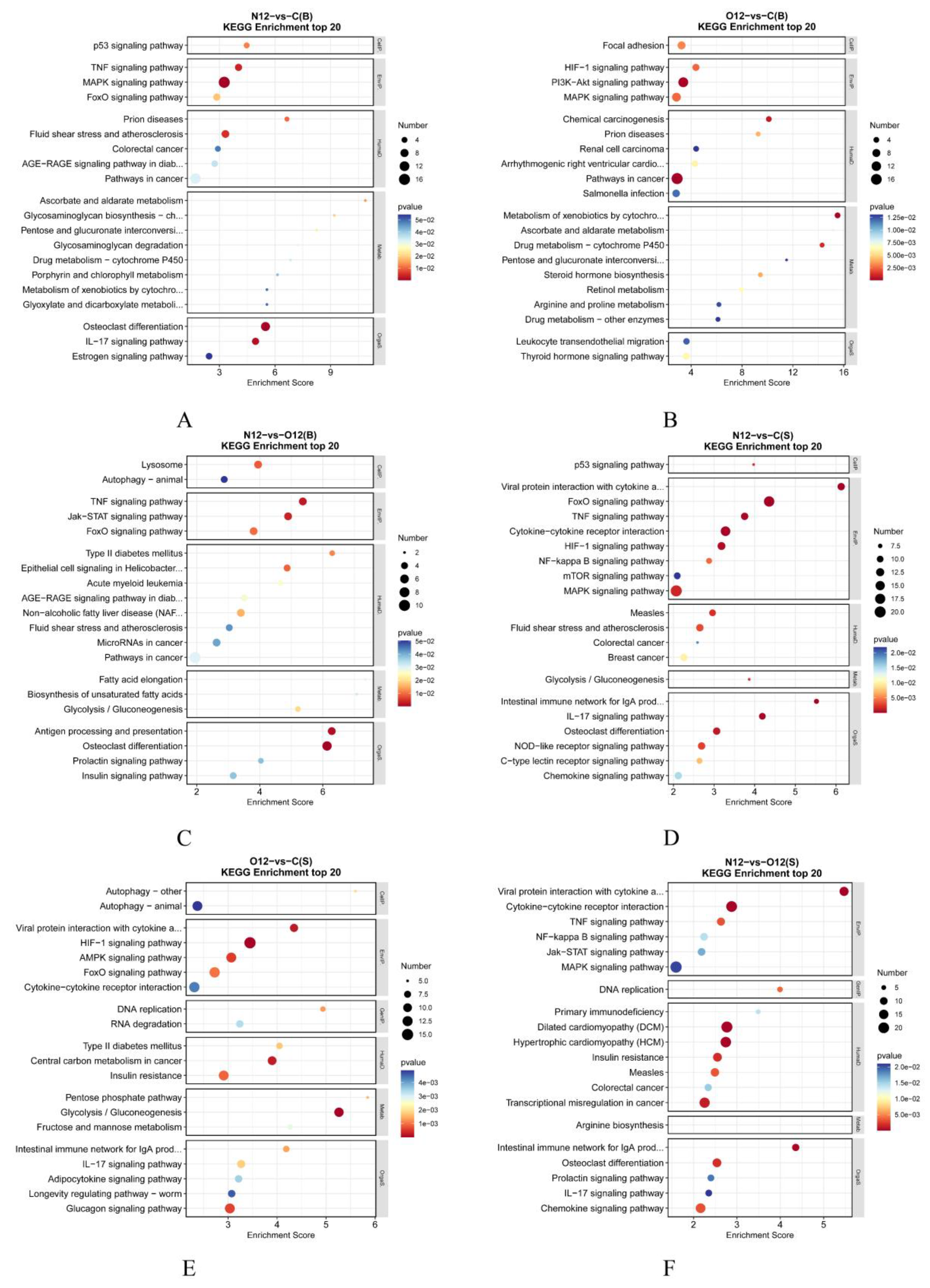 Animals 14 00246 g005