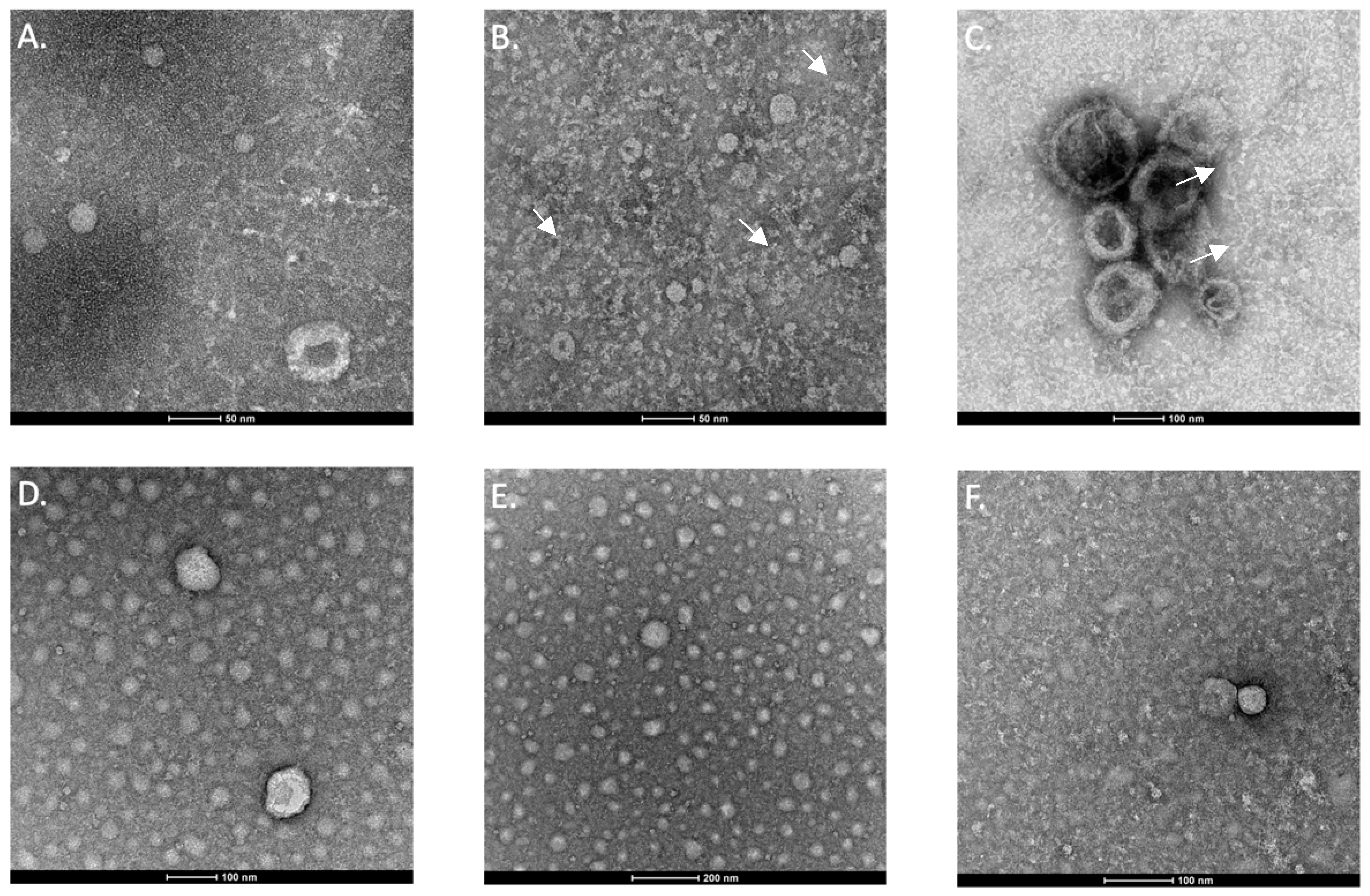 Animals 14 00252 g002 Animals 14 00252 g002