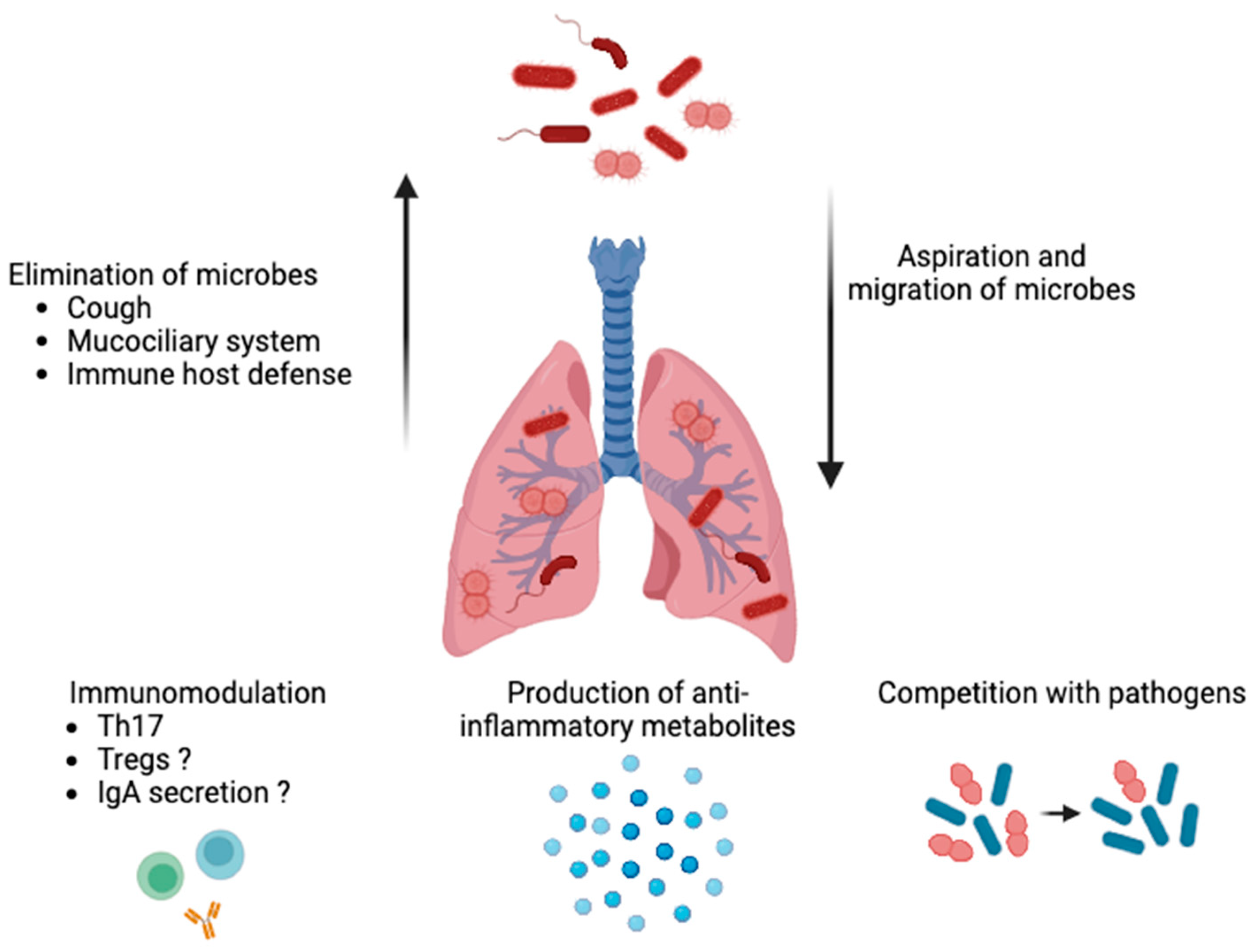Animals 14 00253 g001 Animals 14 00253 g001
