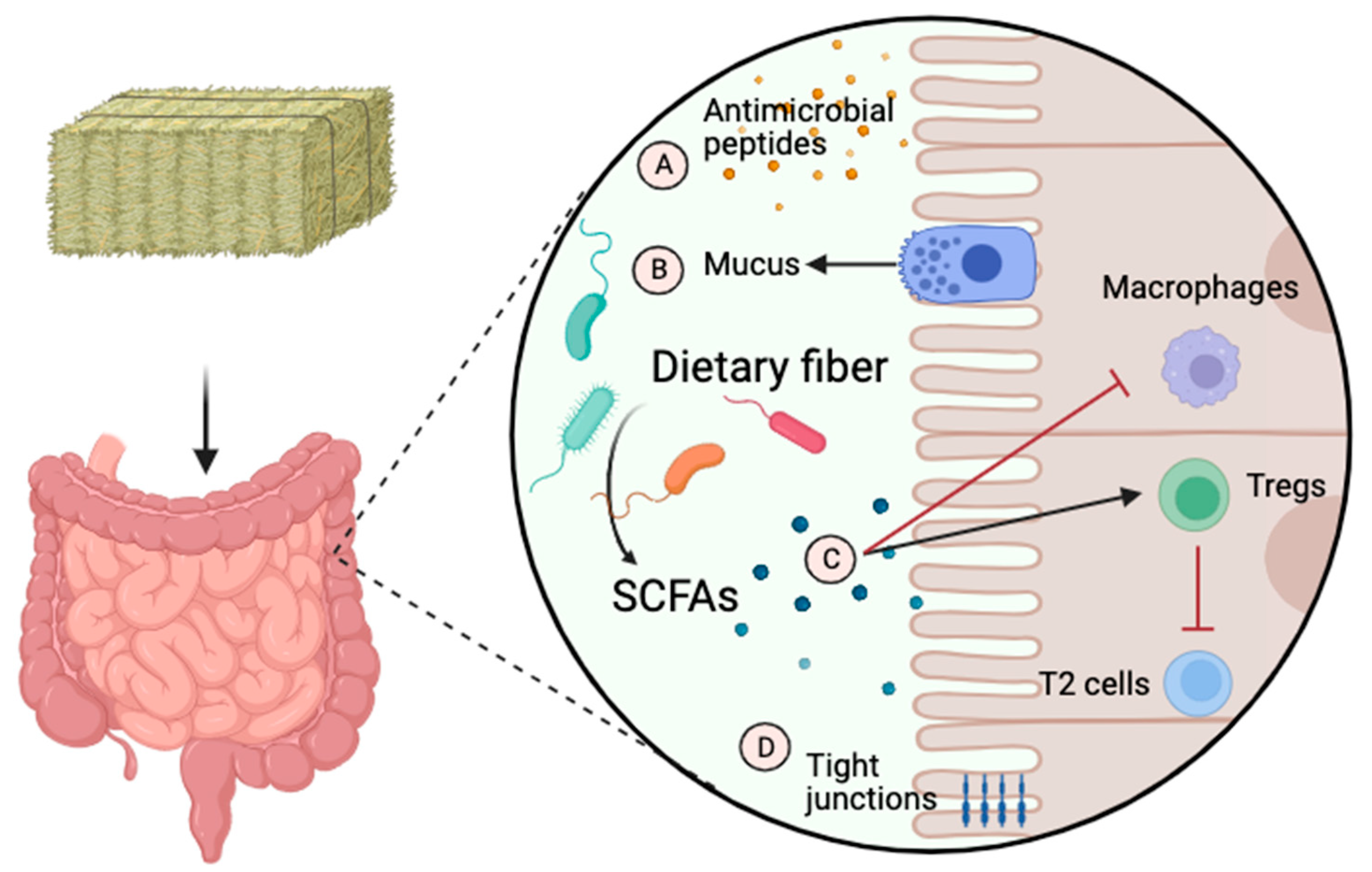 Animals 14 00253 g002 Animals 14 00253 g002