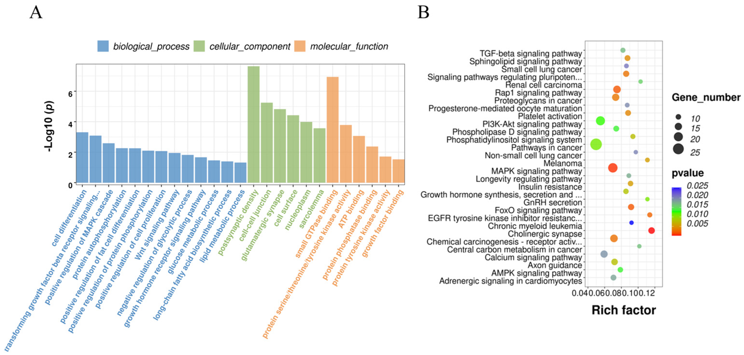 Animals 14 00260 g005
