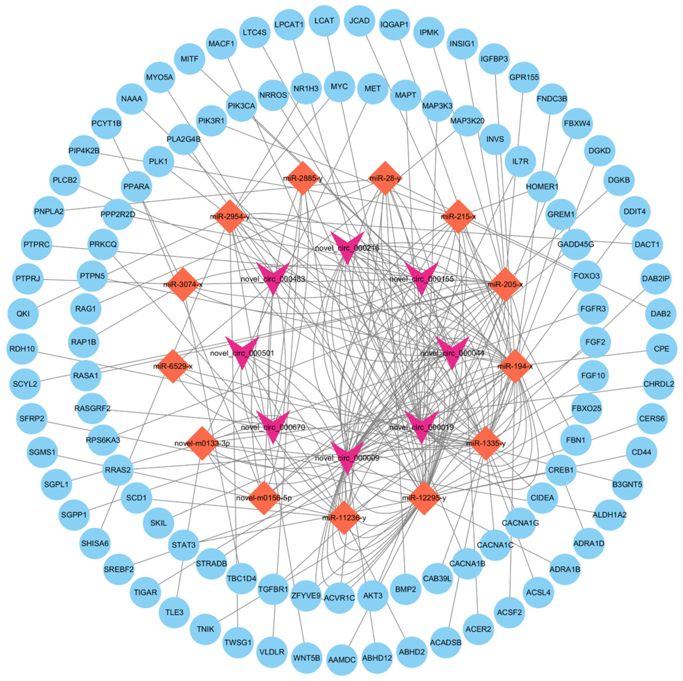 Animals 14 00260 g006