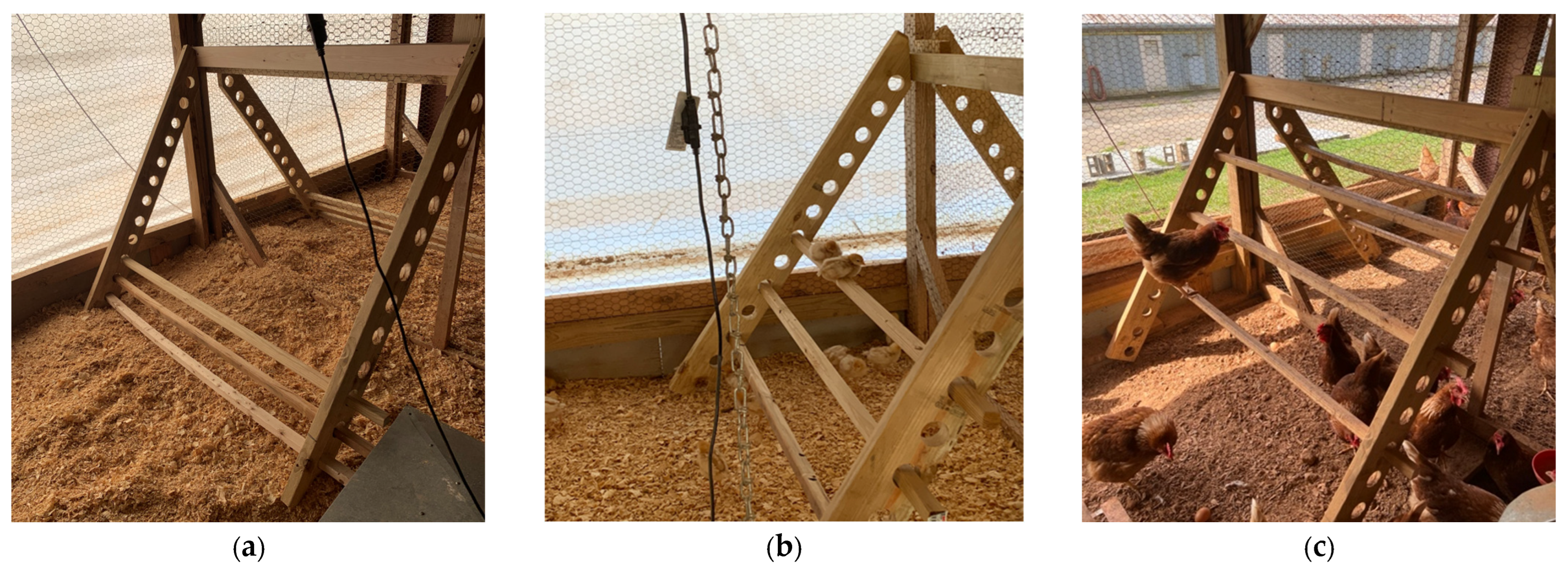 Animals 14 00265 g001