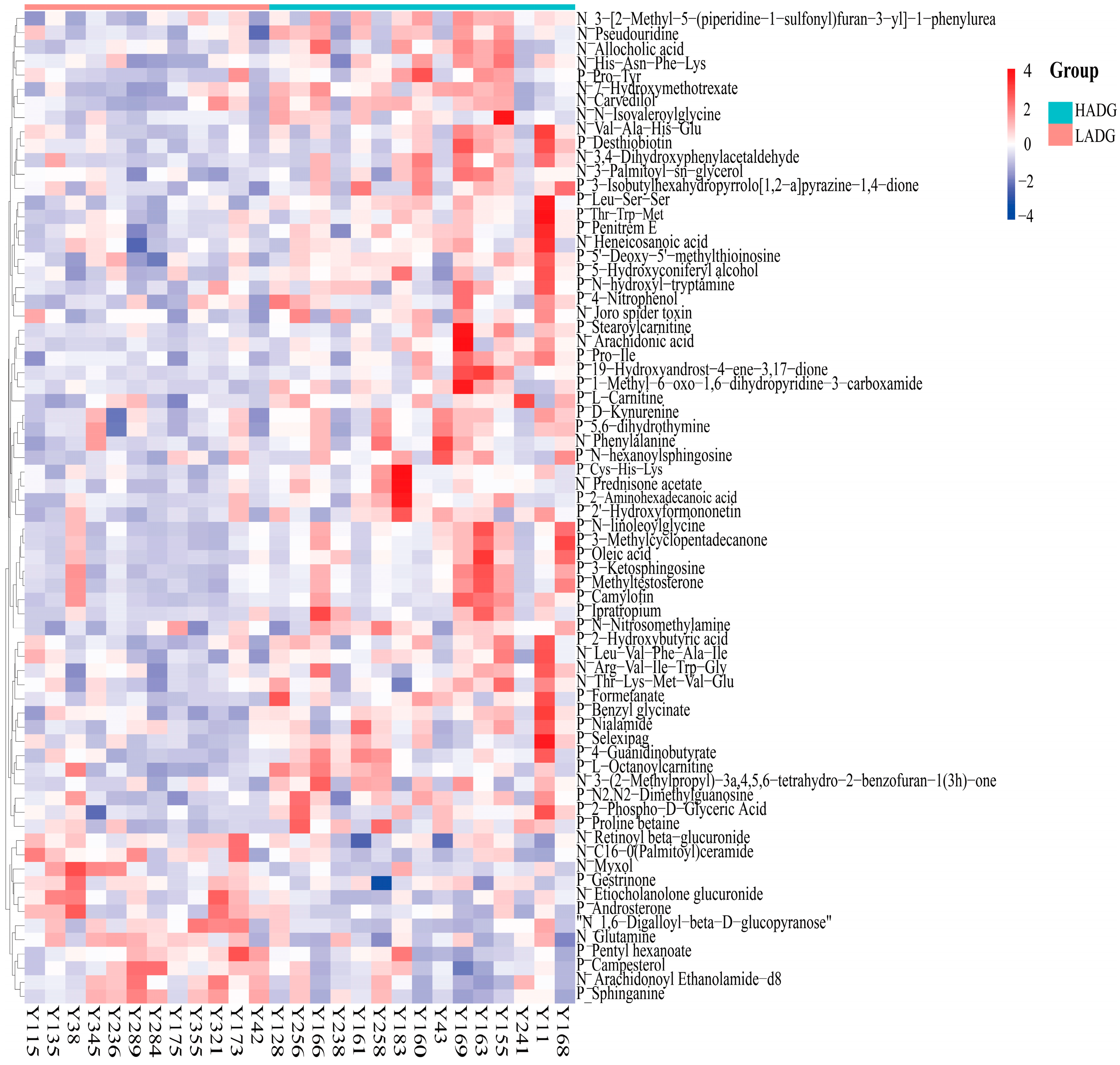ON　2本セット Moderate altitude exposure induced gut microbiota enterotype
