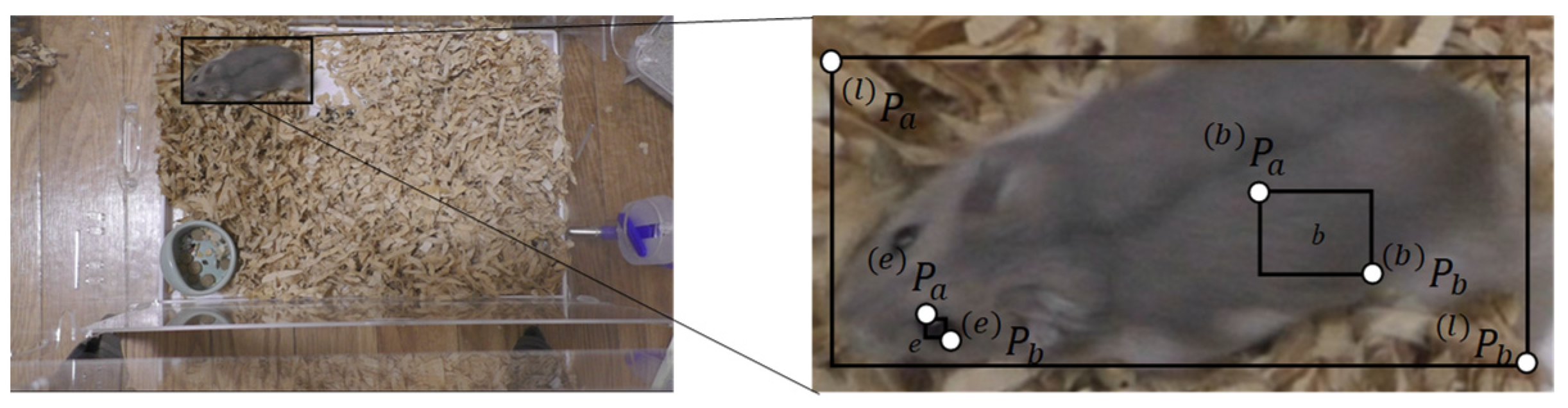 Animals 14 00281 g003