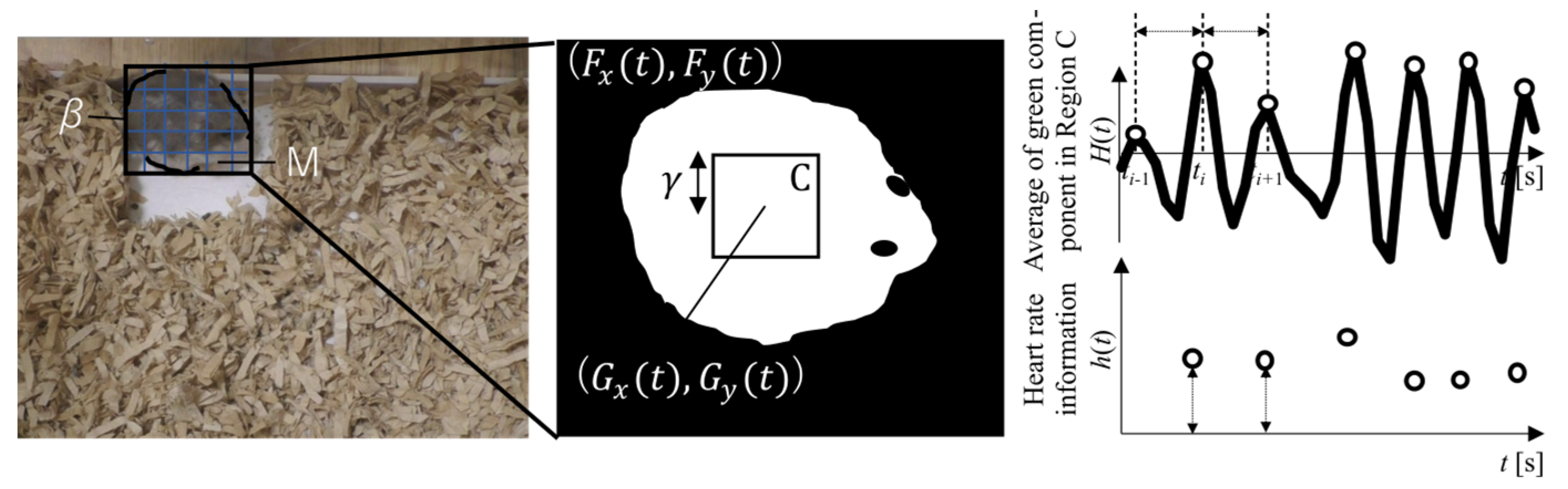 Animals 14 00281 g004