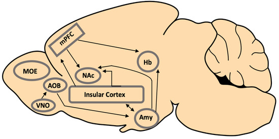 Neurobiology of Pathogen Avoidance and Mate Choice: Current