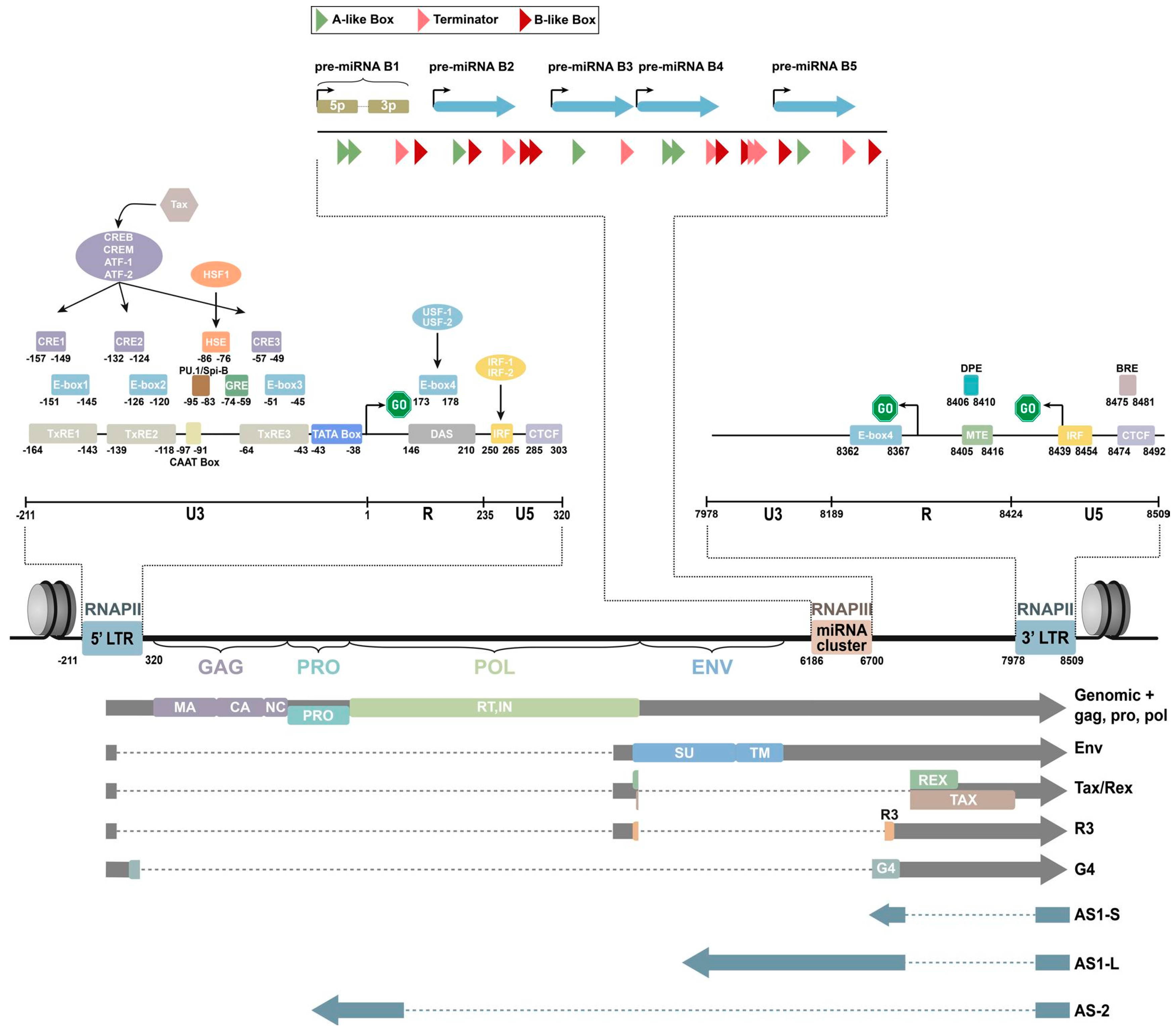 Animals 14 00297 g001 Animals 14 00297 g001