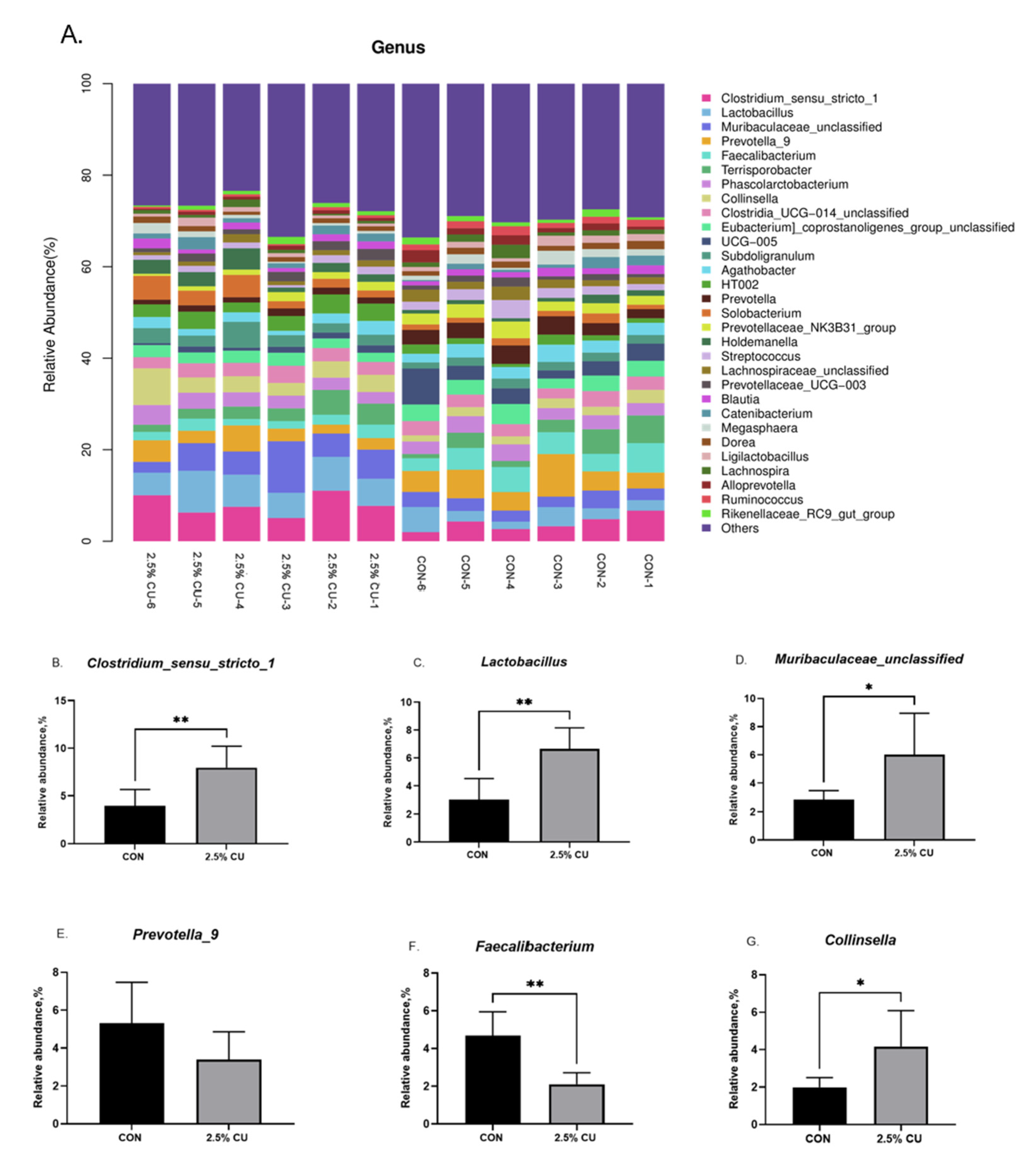 Animals 14 00306 g005