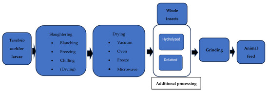 Animals | Free Full-Text | Alternative and Sustainable Protein Sources ...