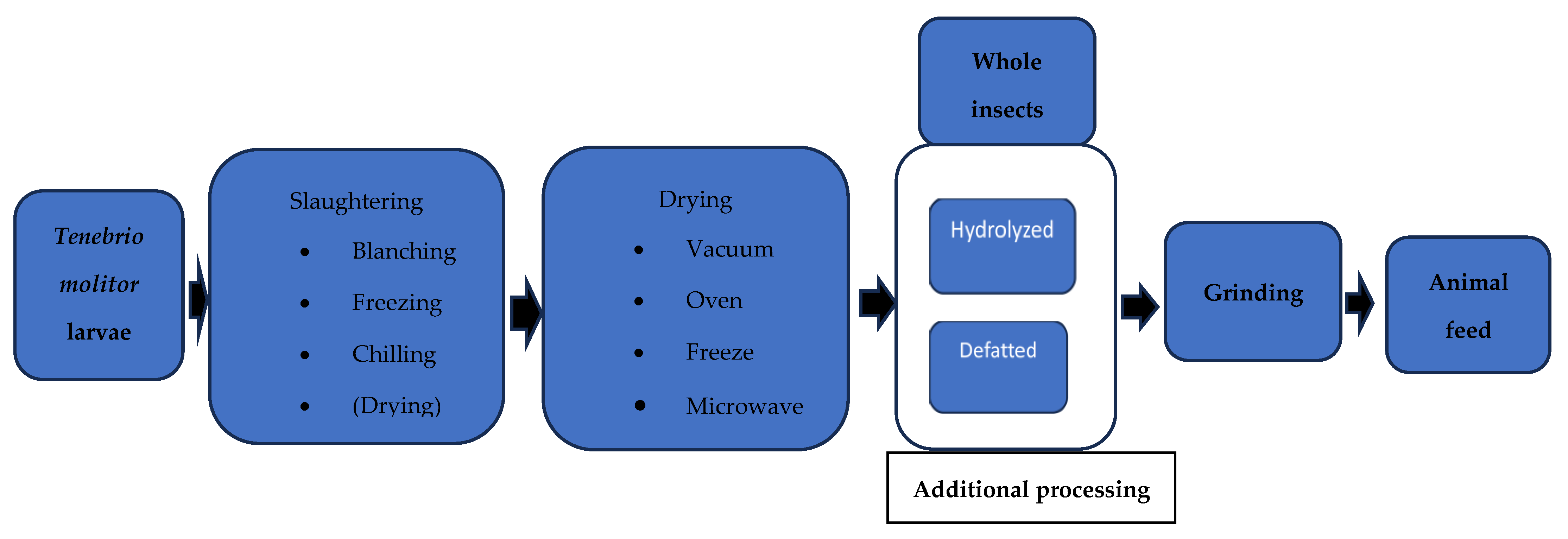 Animals 14 00310 g001 Animals 14 00310 g001