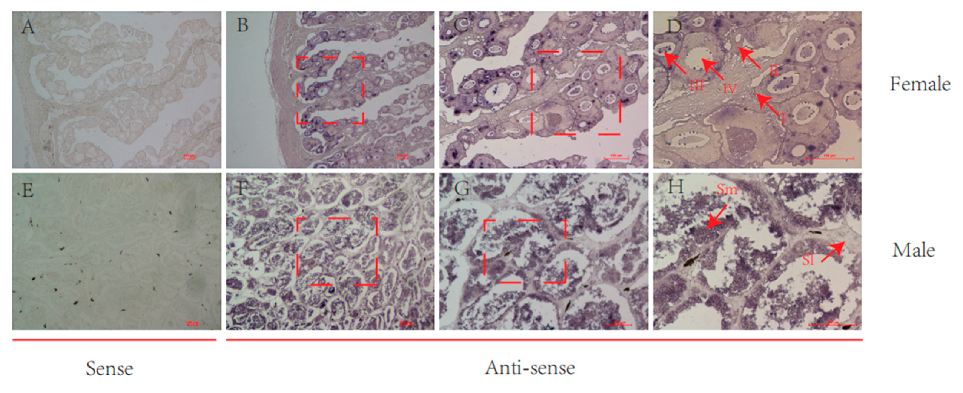 Animals 14 00311 g004