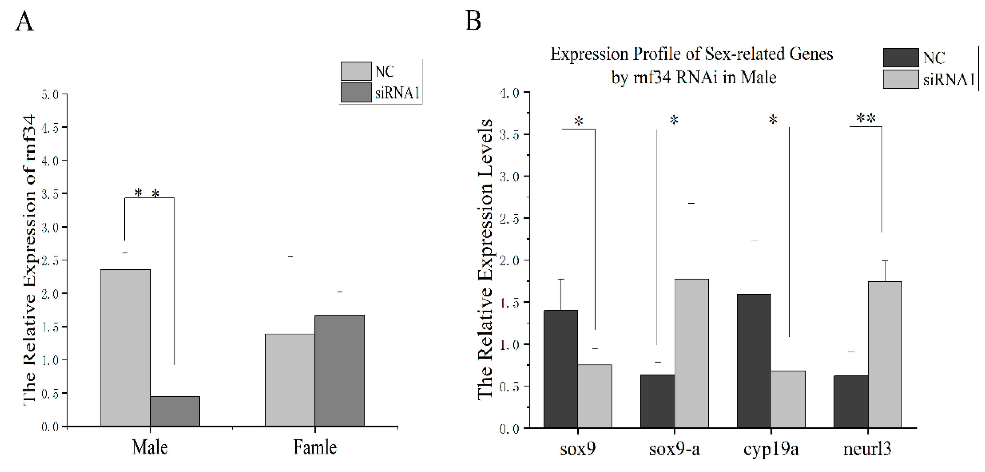Animals 14 00311 g006
