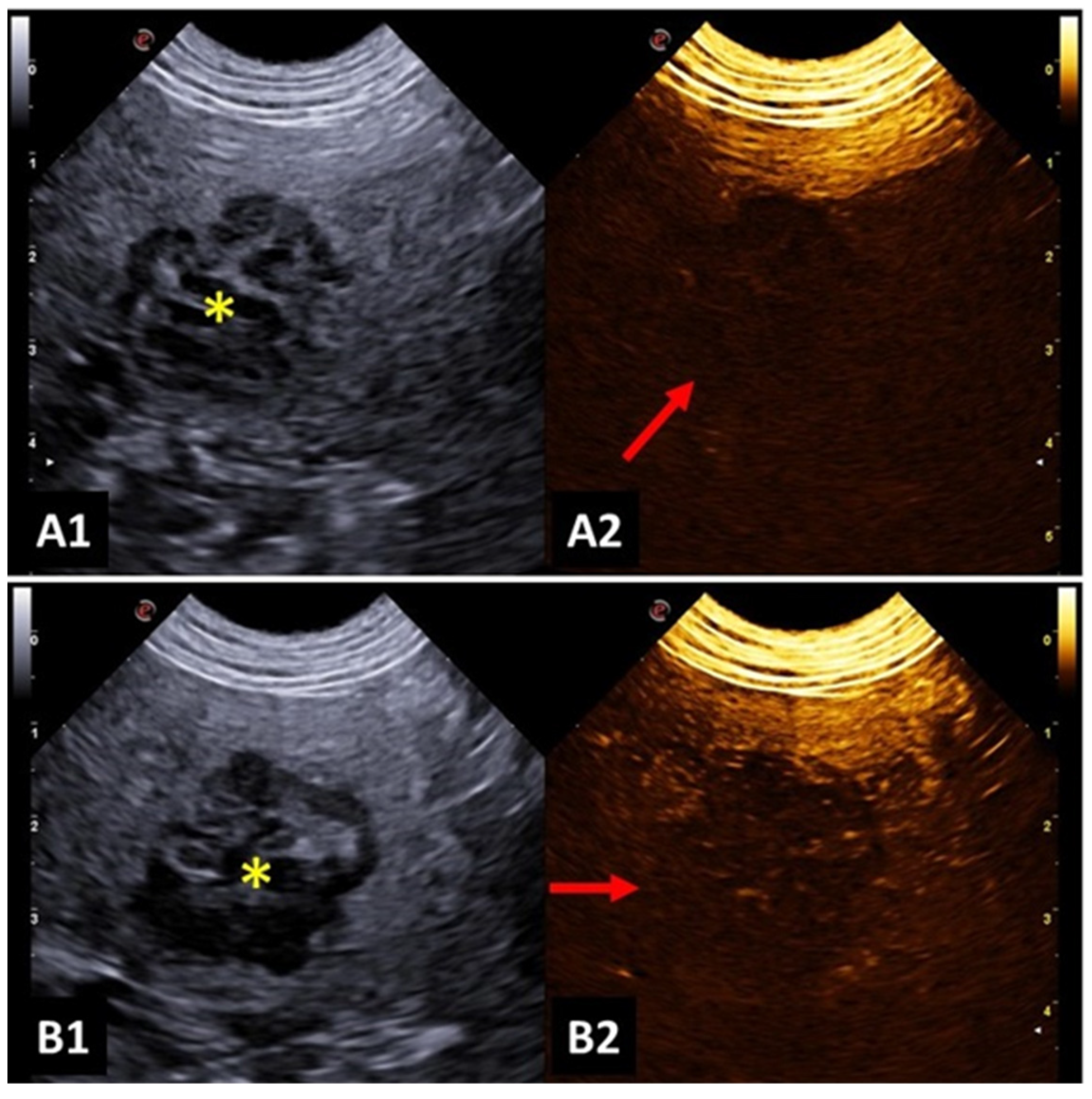 Animals 14 00312 g003