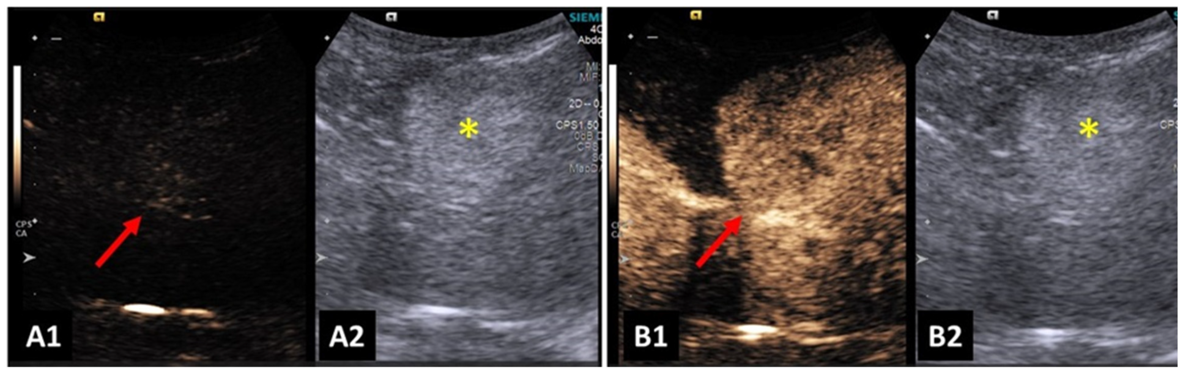 Animals 14 00312 g004