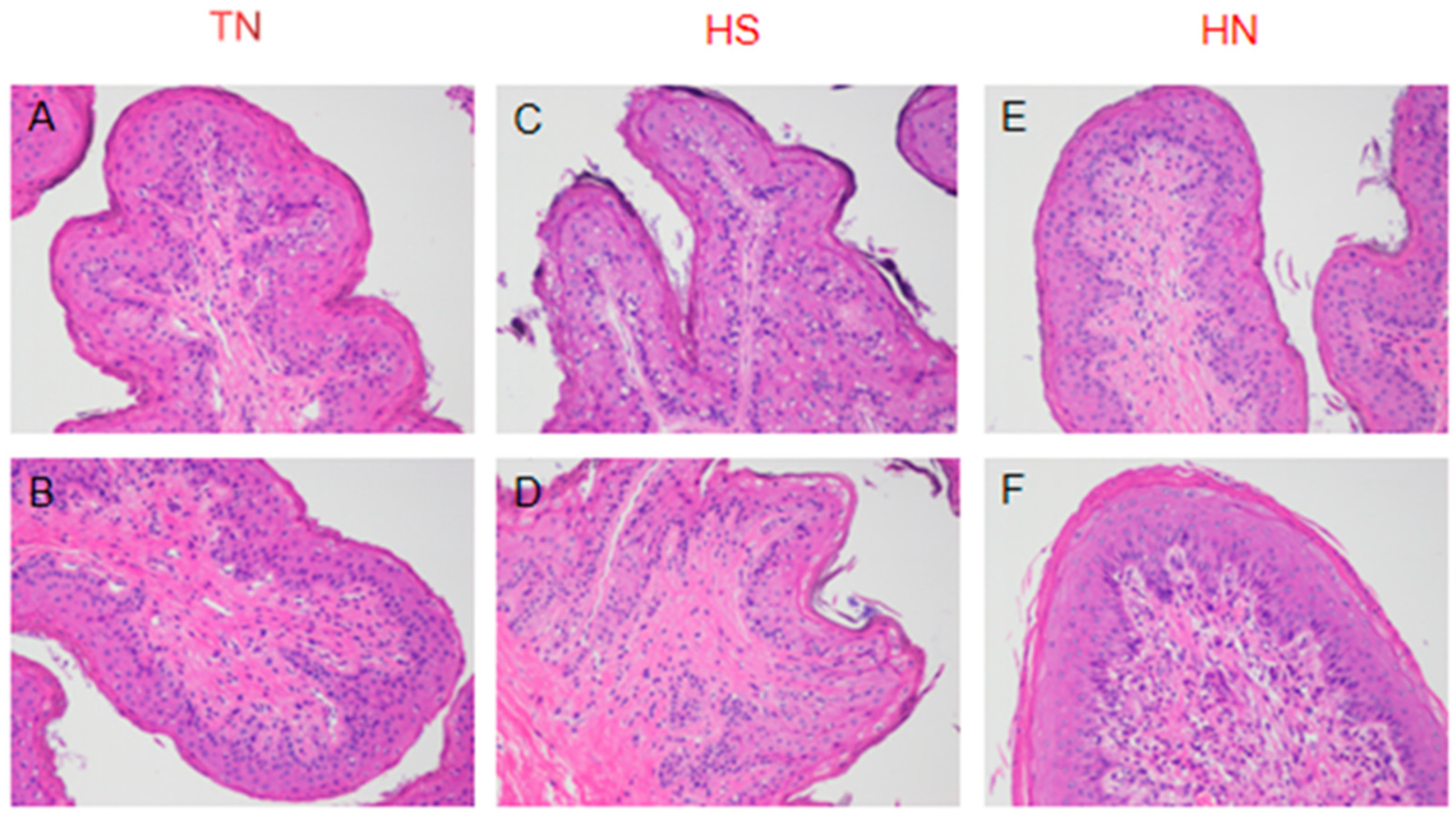 Animals 14 00313 g004